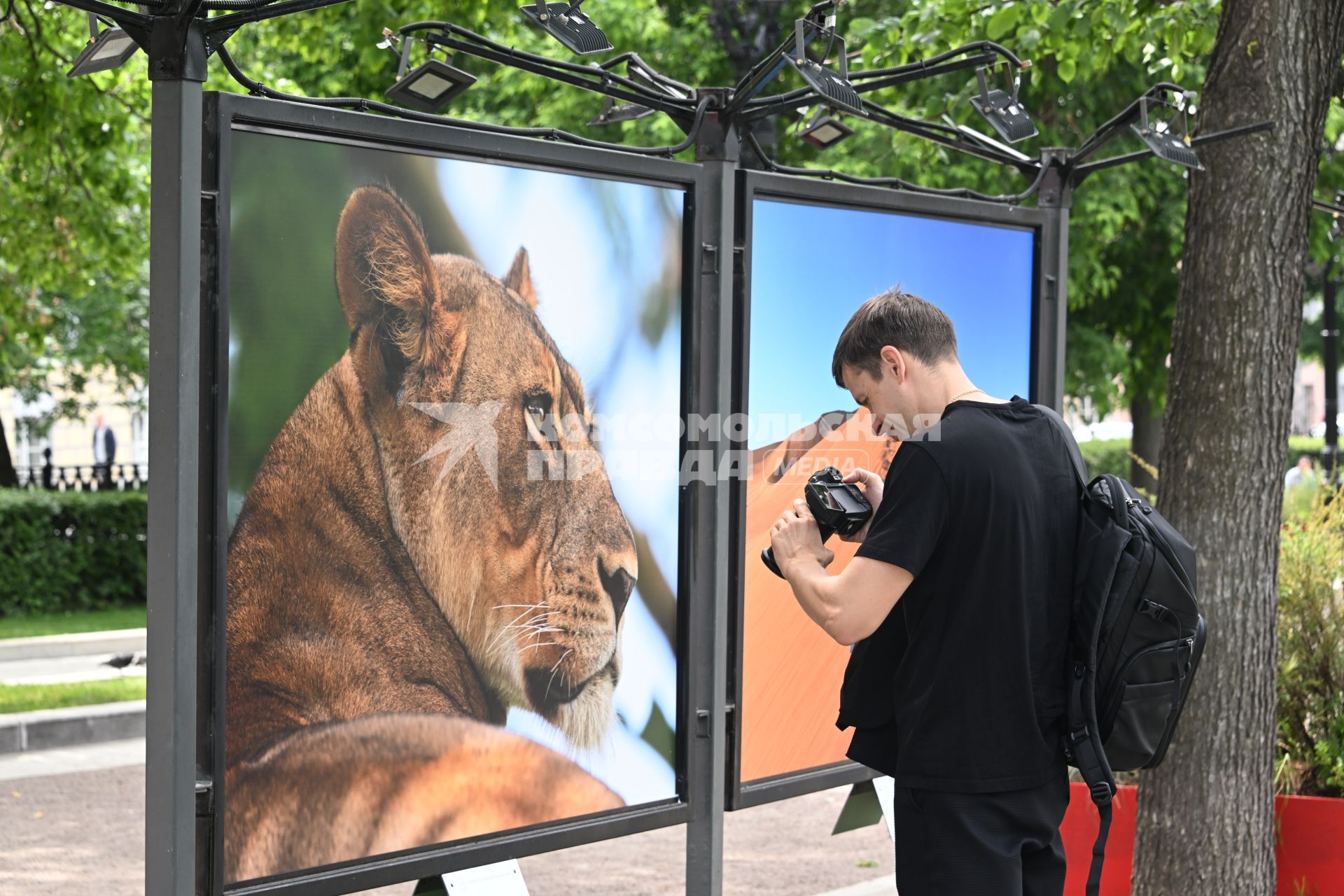 Фотовыставка Золото Африки\" на Тверском бульваре