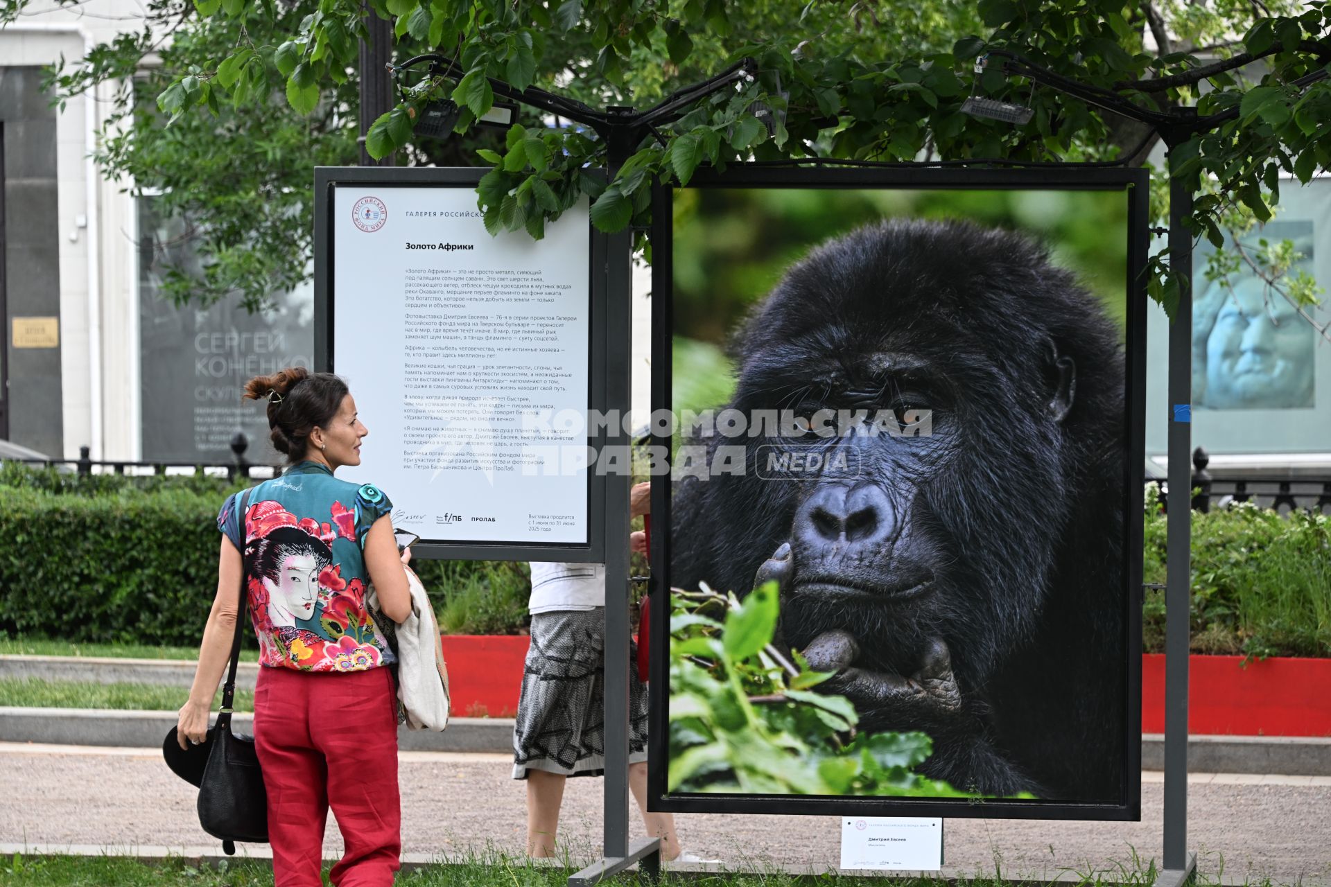 Фотовыставка Золото Африки\" на Тверском бульваре