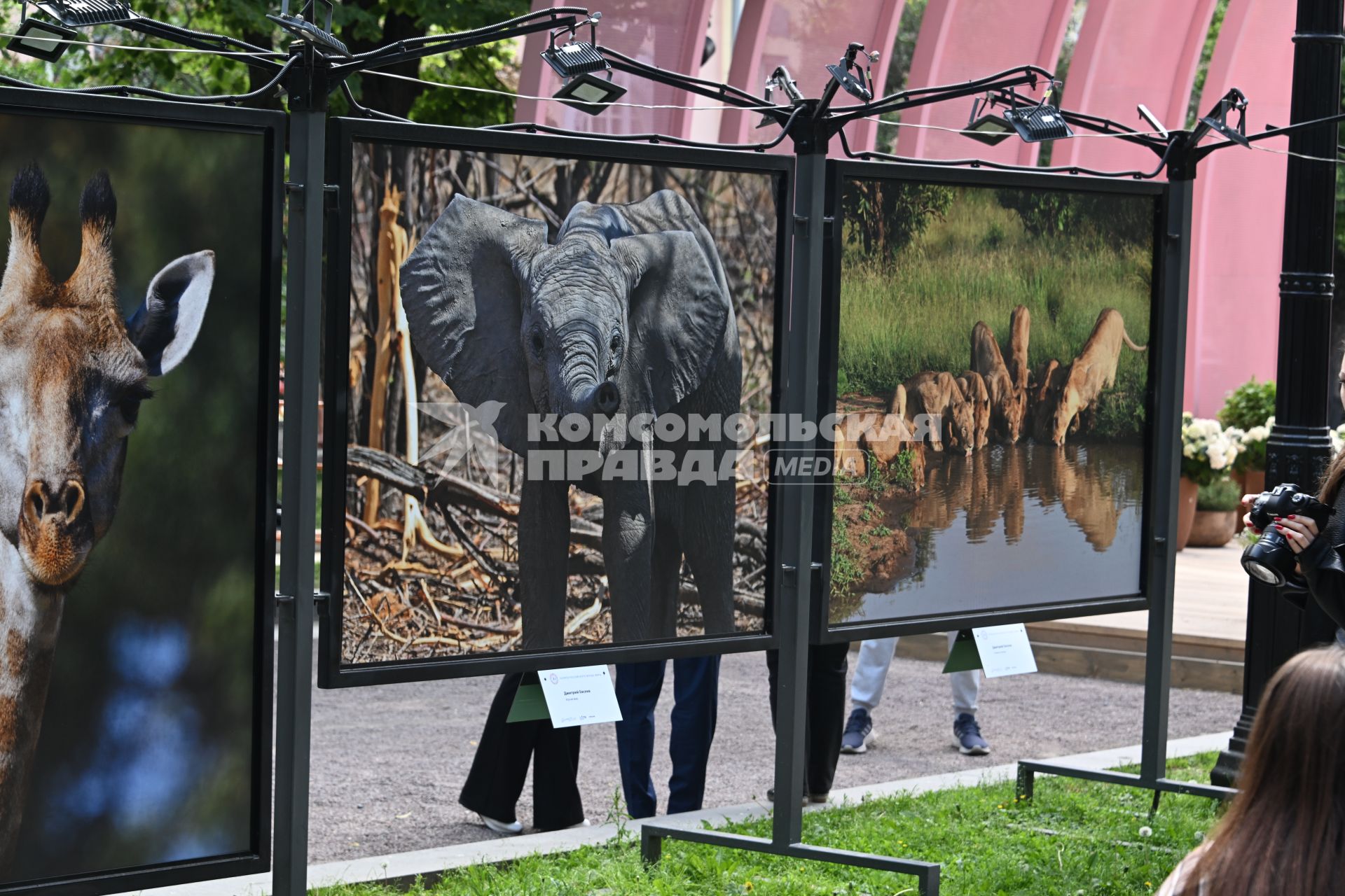 Фотовыставка Золото Африки\" на Тверском бульваре