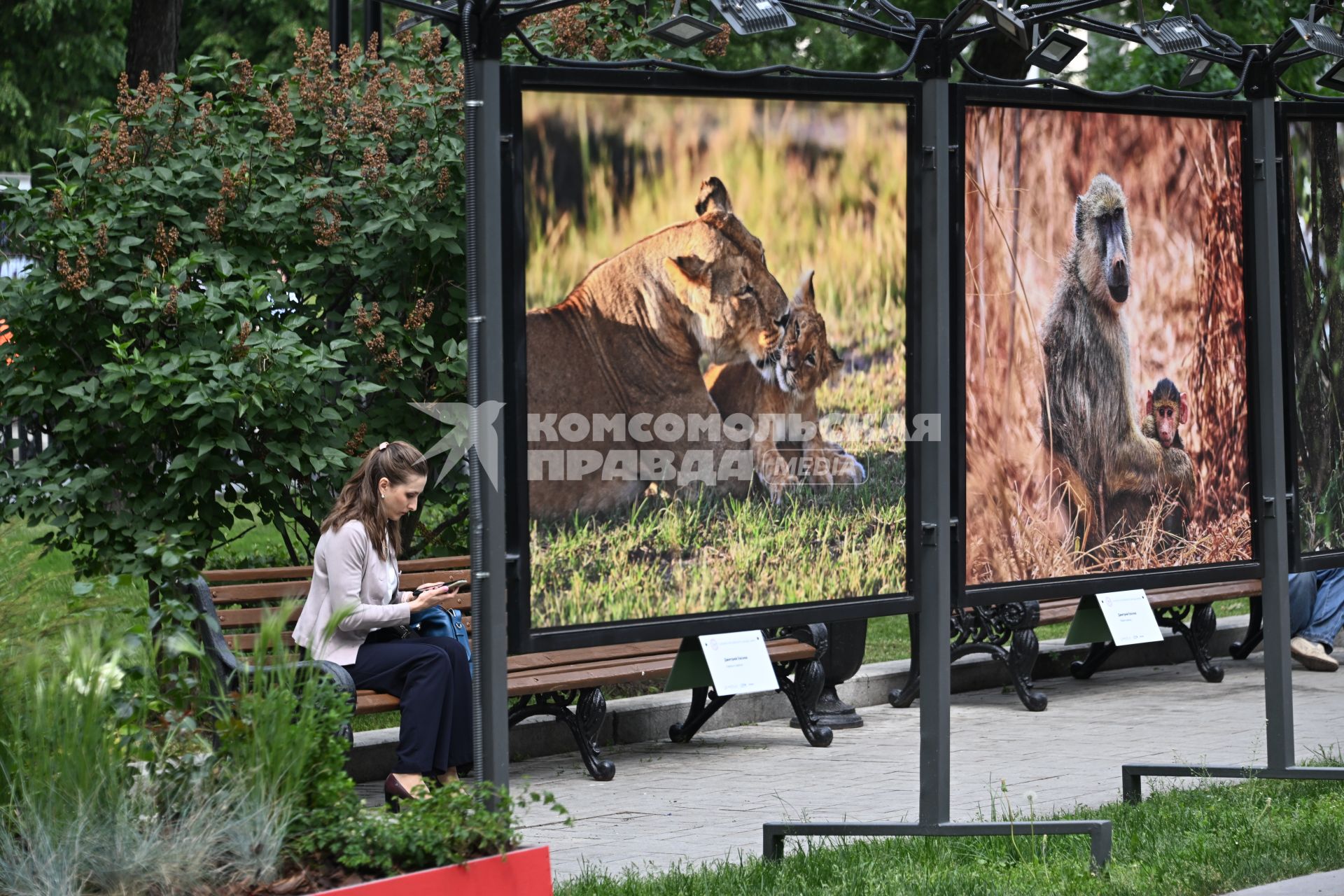 Фотовыставка Золото Африки\" на Тверском бульваре