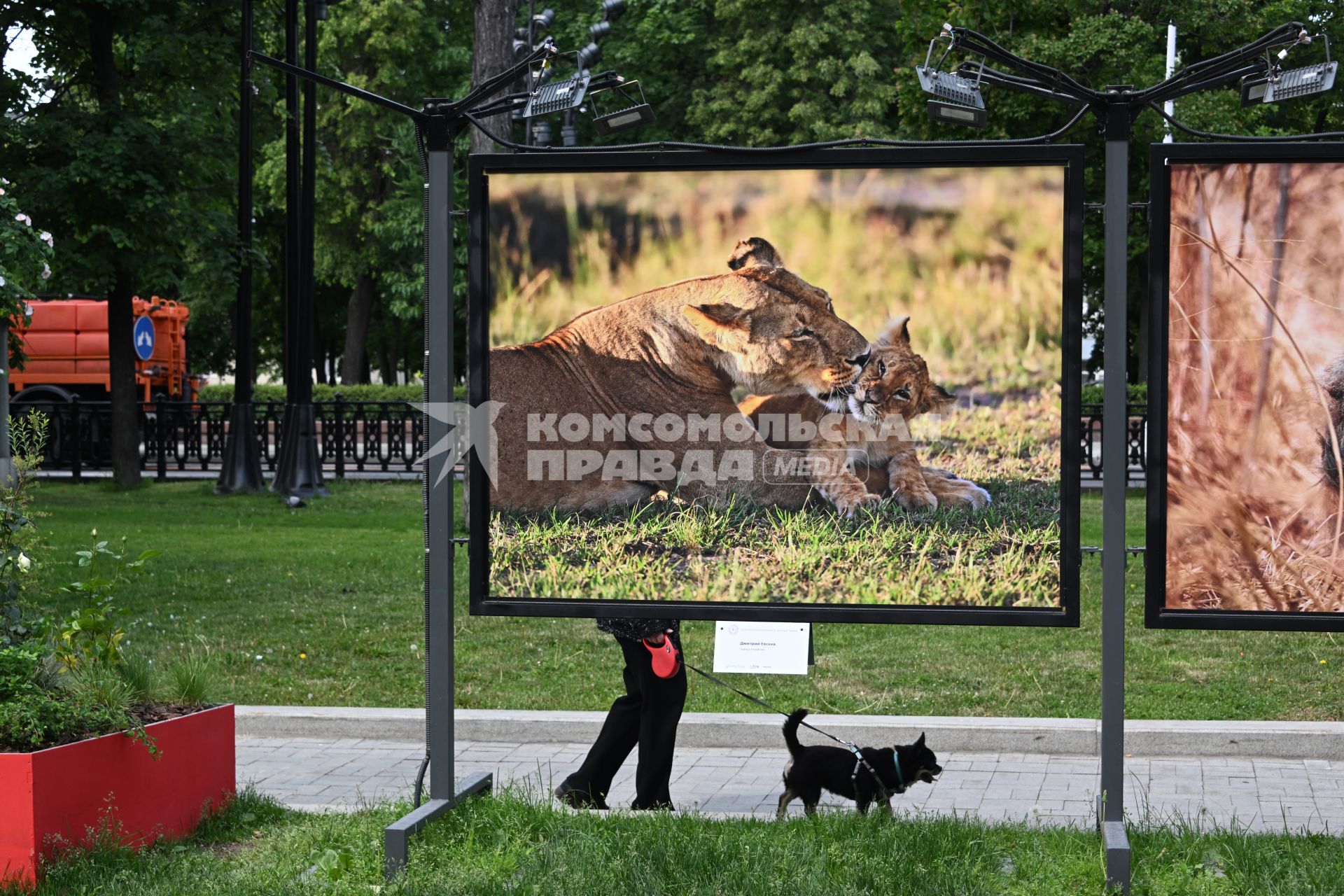 Фотовыставка Золото Африки\" на Тверском бульваре