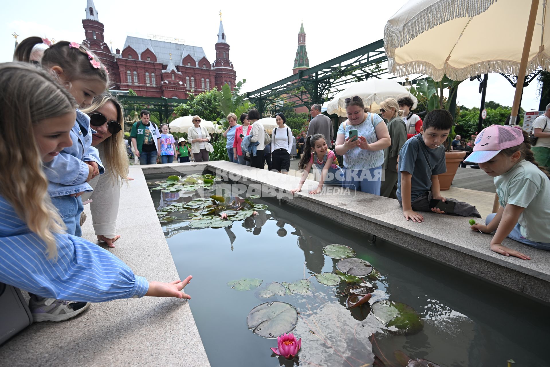 Ландшафтный фестиваль Сады и цветы\" в Москве