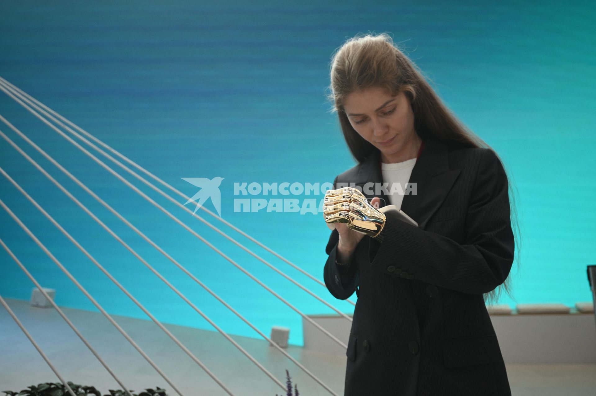 Петербургский международный экономический форум 2025