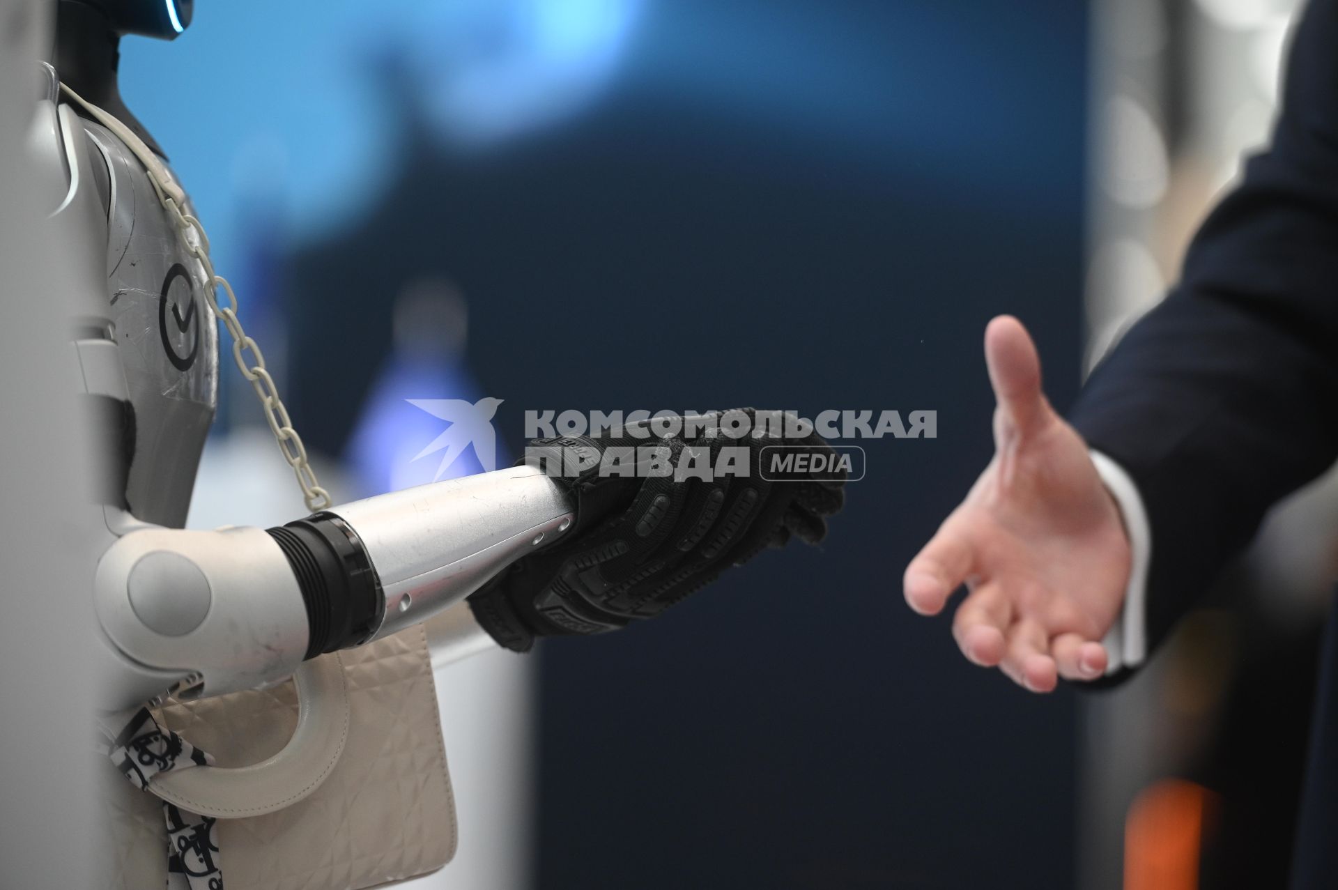 Петербургский международный экономический форум 2025