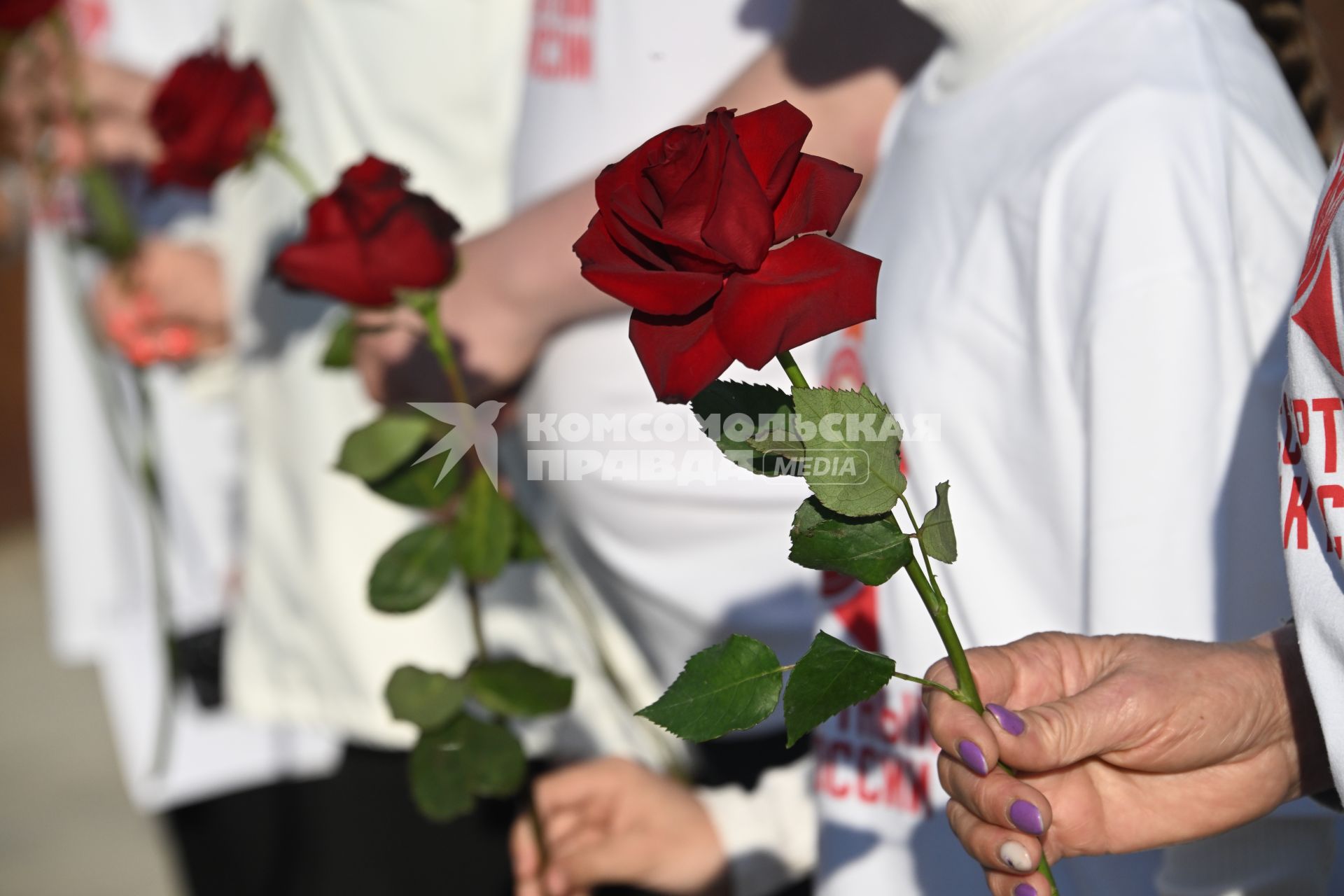 У Ржевского мемориала Советскому солдату состоялся концерт-реквием Мы этой памяти верны\", посвященный Дню памяти и скорби