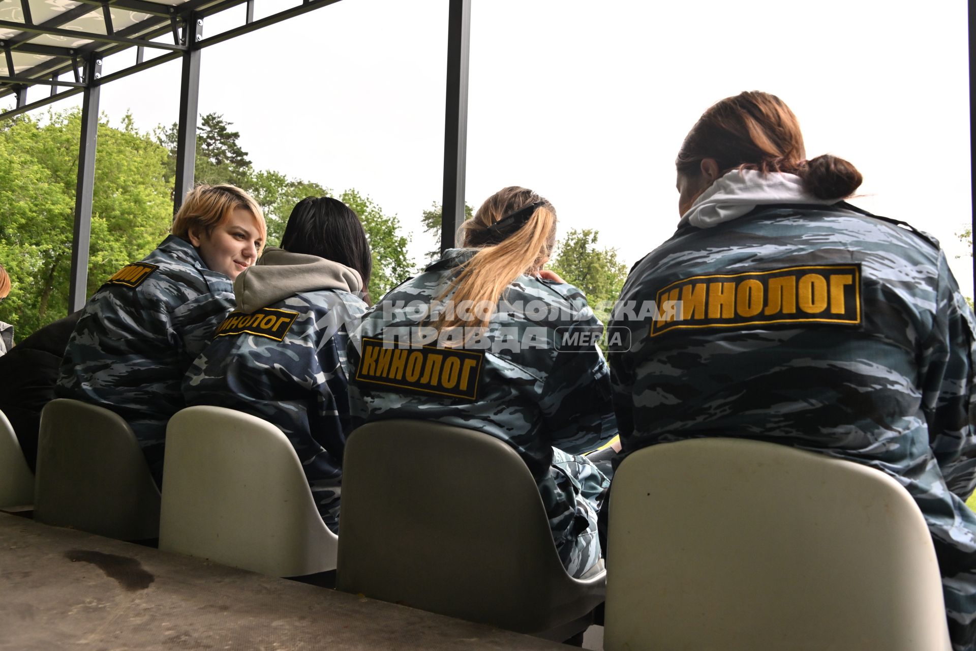 День кинолога