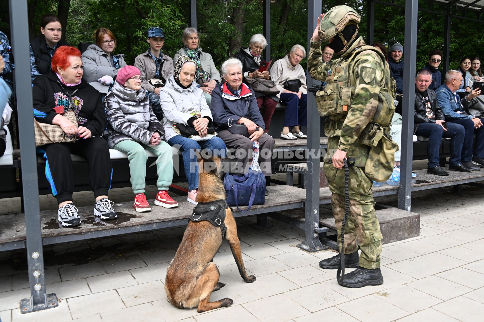День кинолога