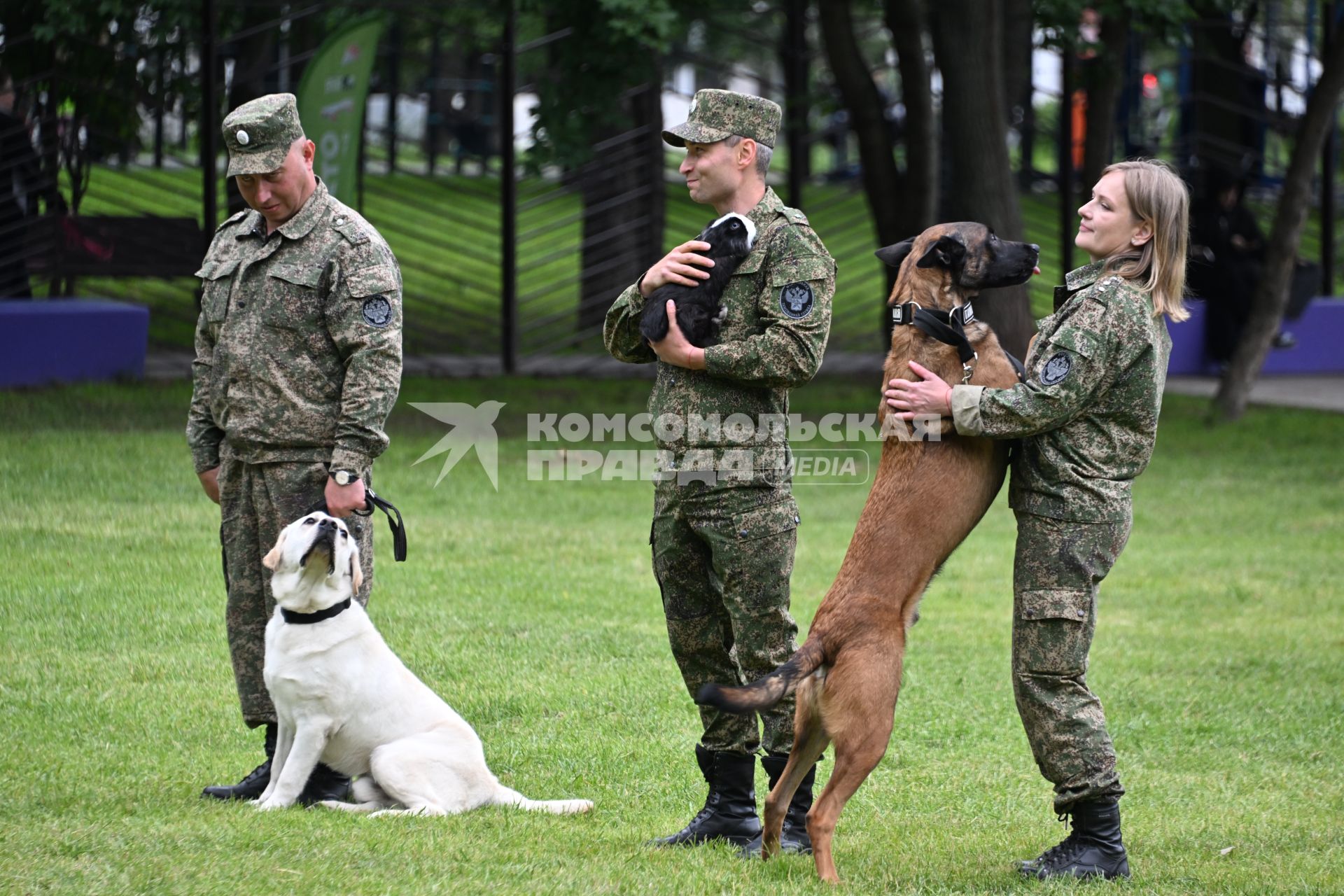 День кинолога