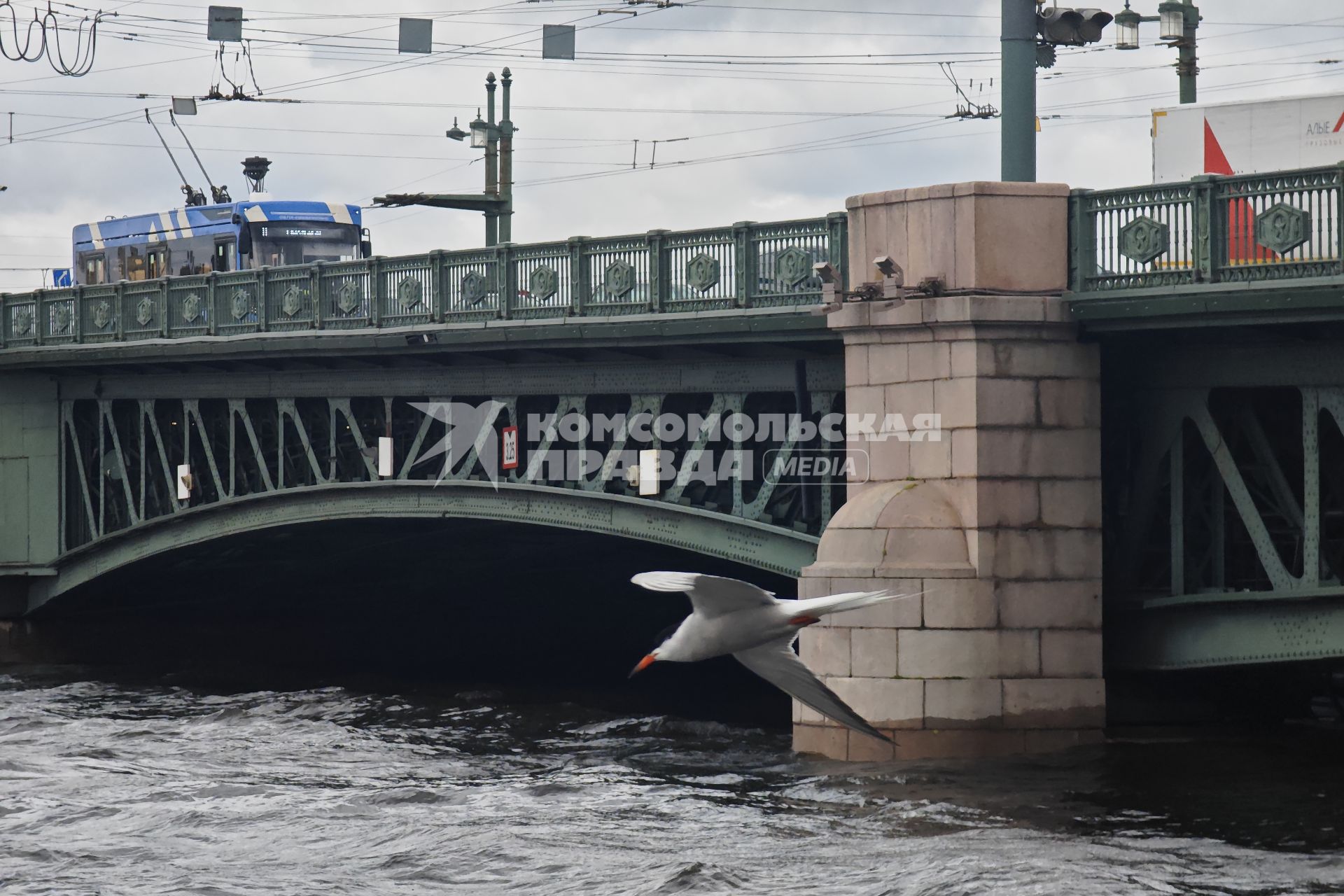 Непогода в Петербурге