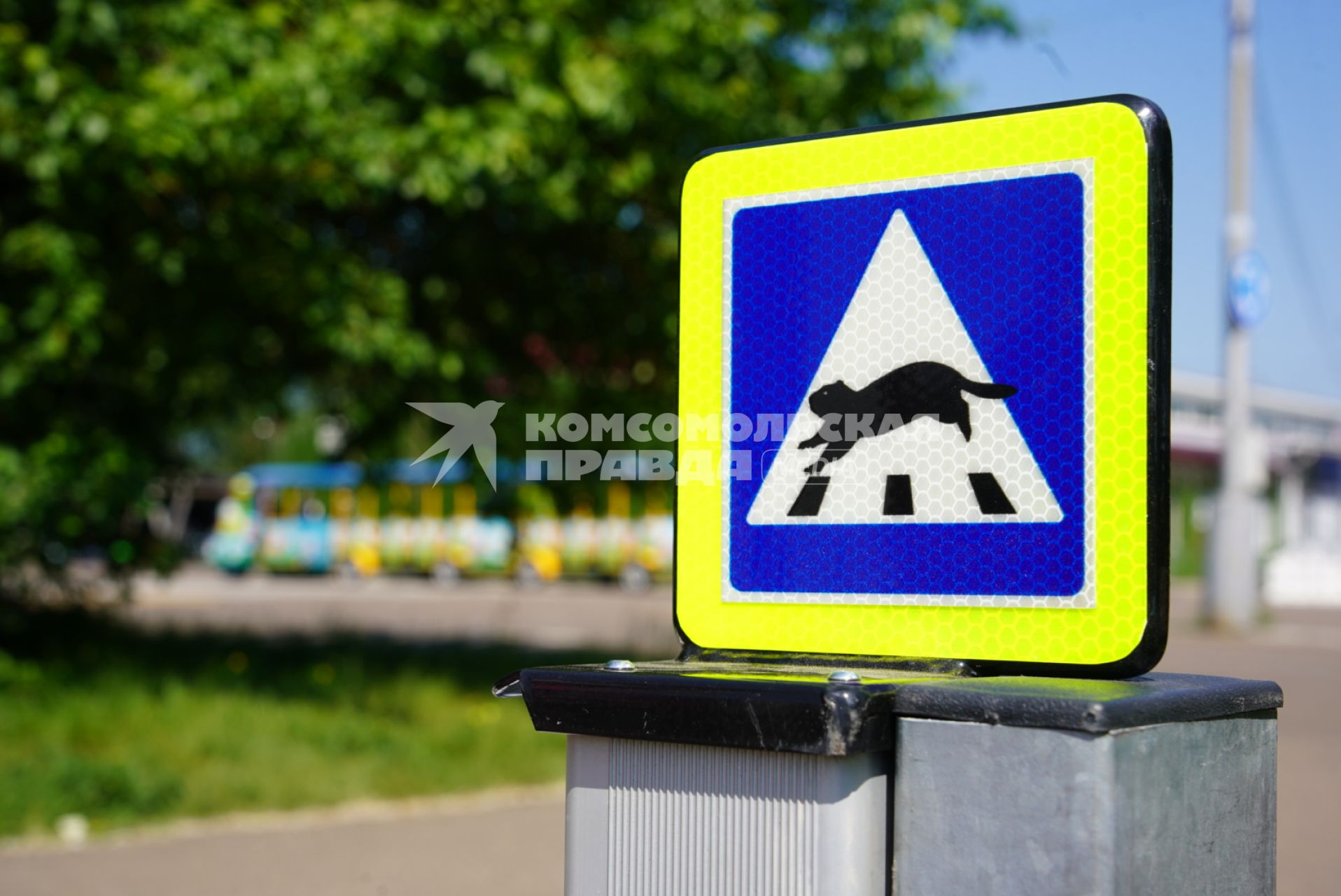 Светофор для сусликов установили в красноярском Татышев-парке