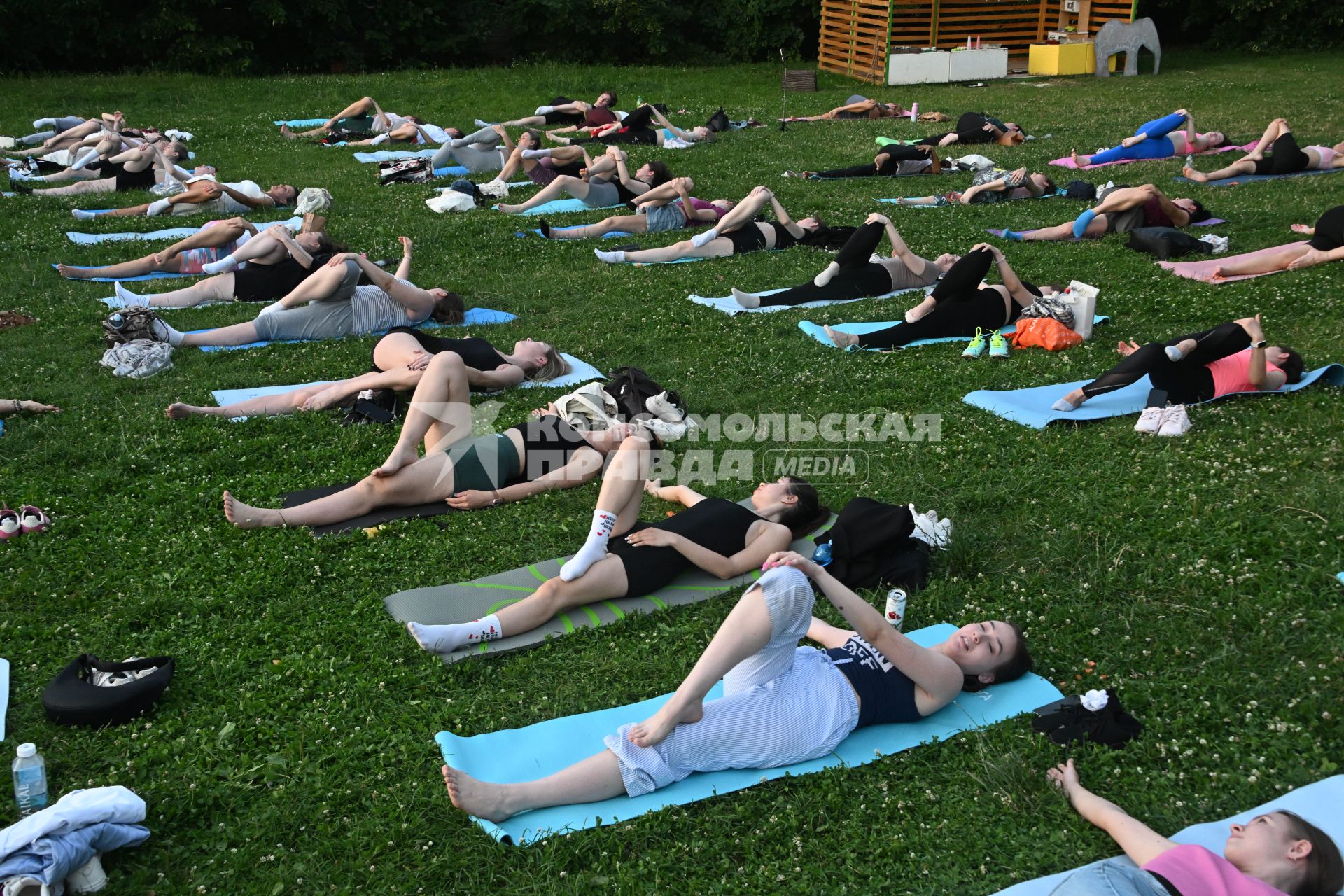 Йога с козами в Парке Горького