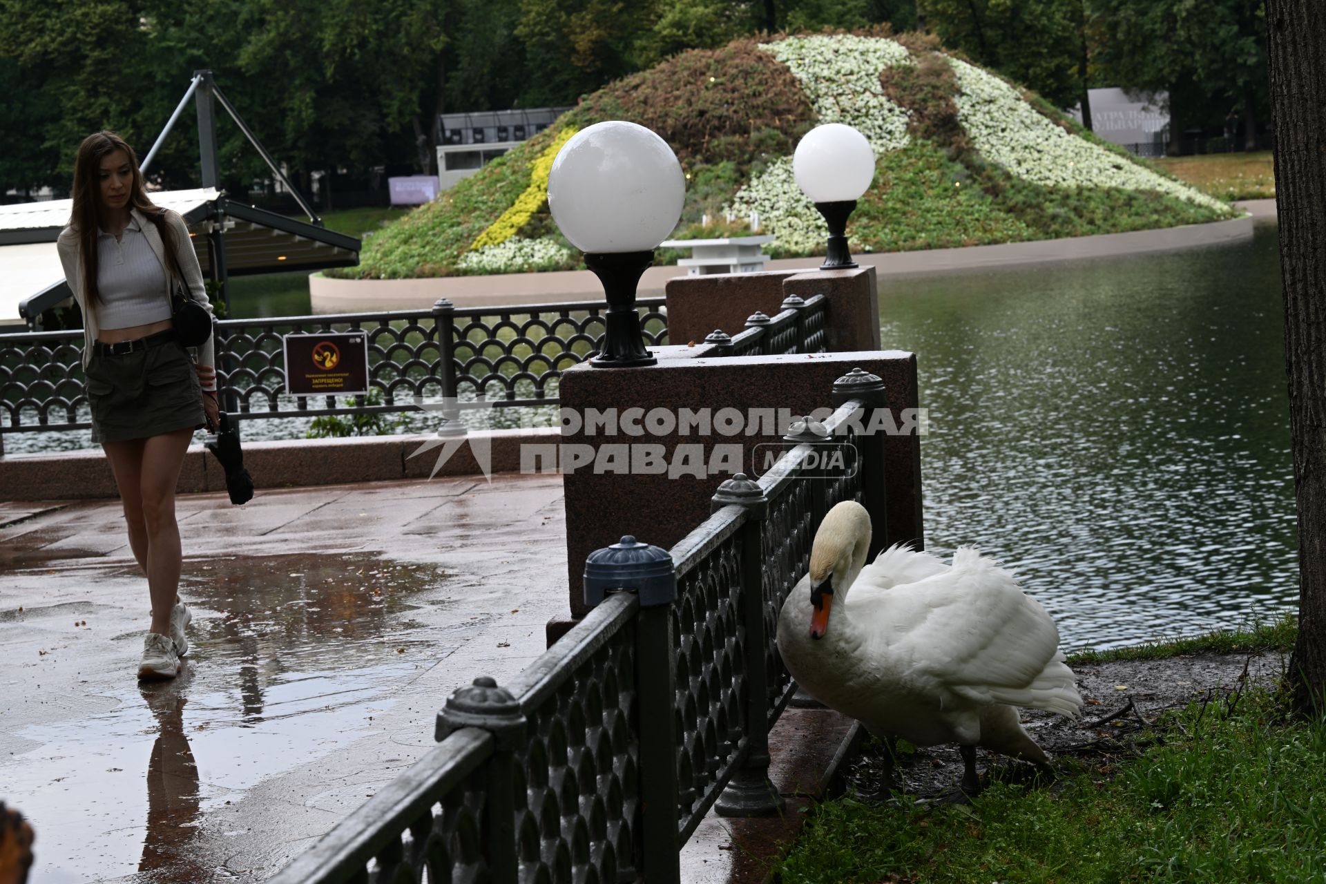Городская жизнь