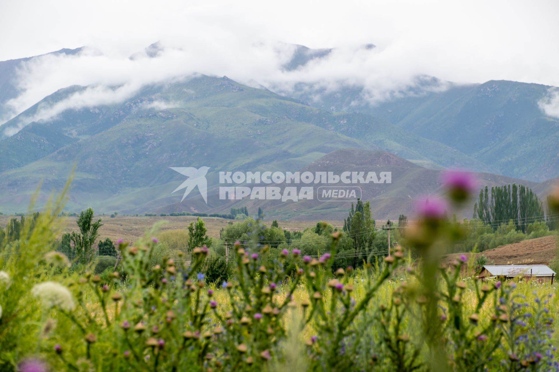 Экспедиция РГО в Киргизию  на озеро Иссык-Куль