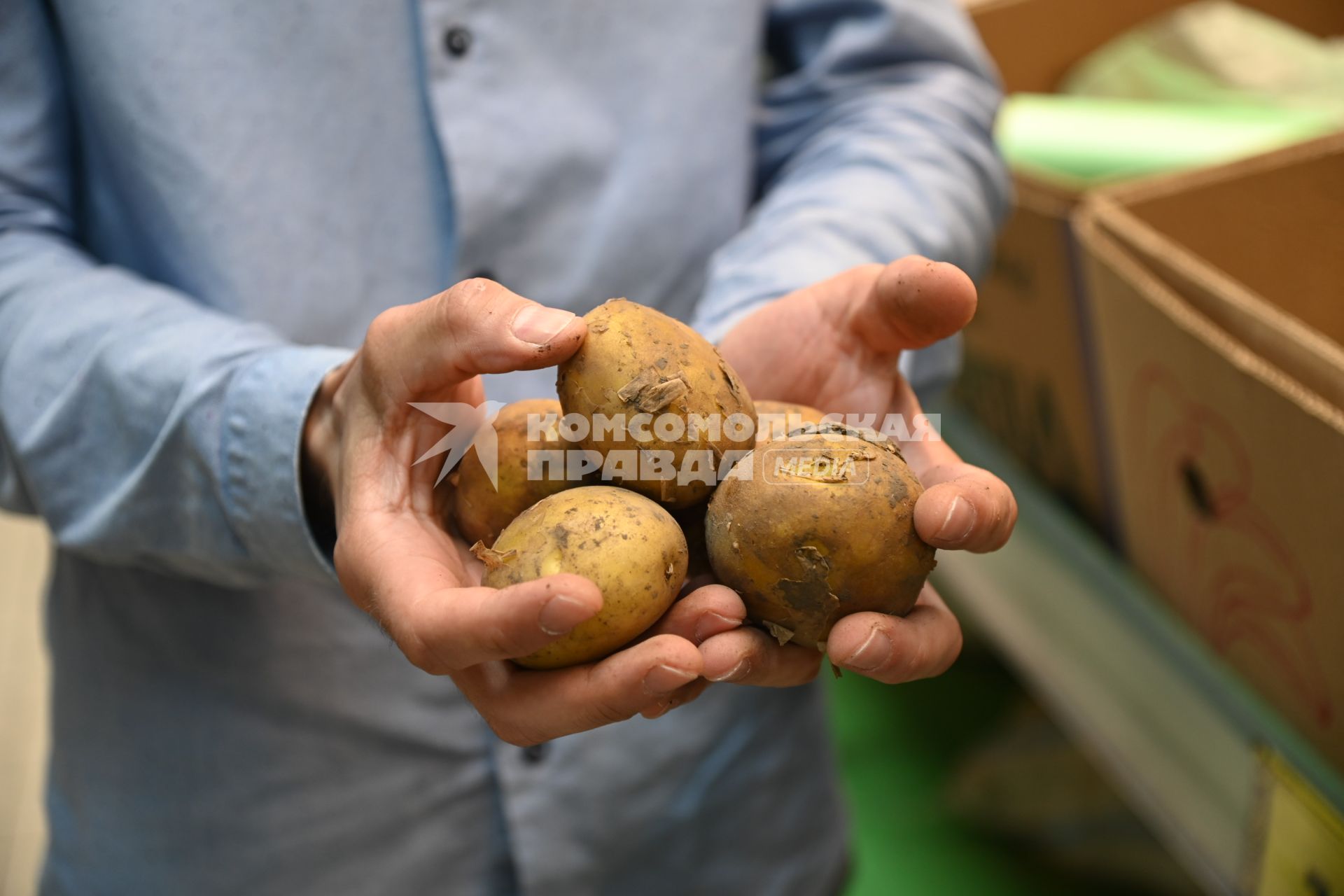 Овощи в продуктовом магазине