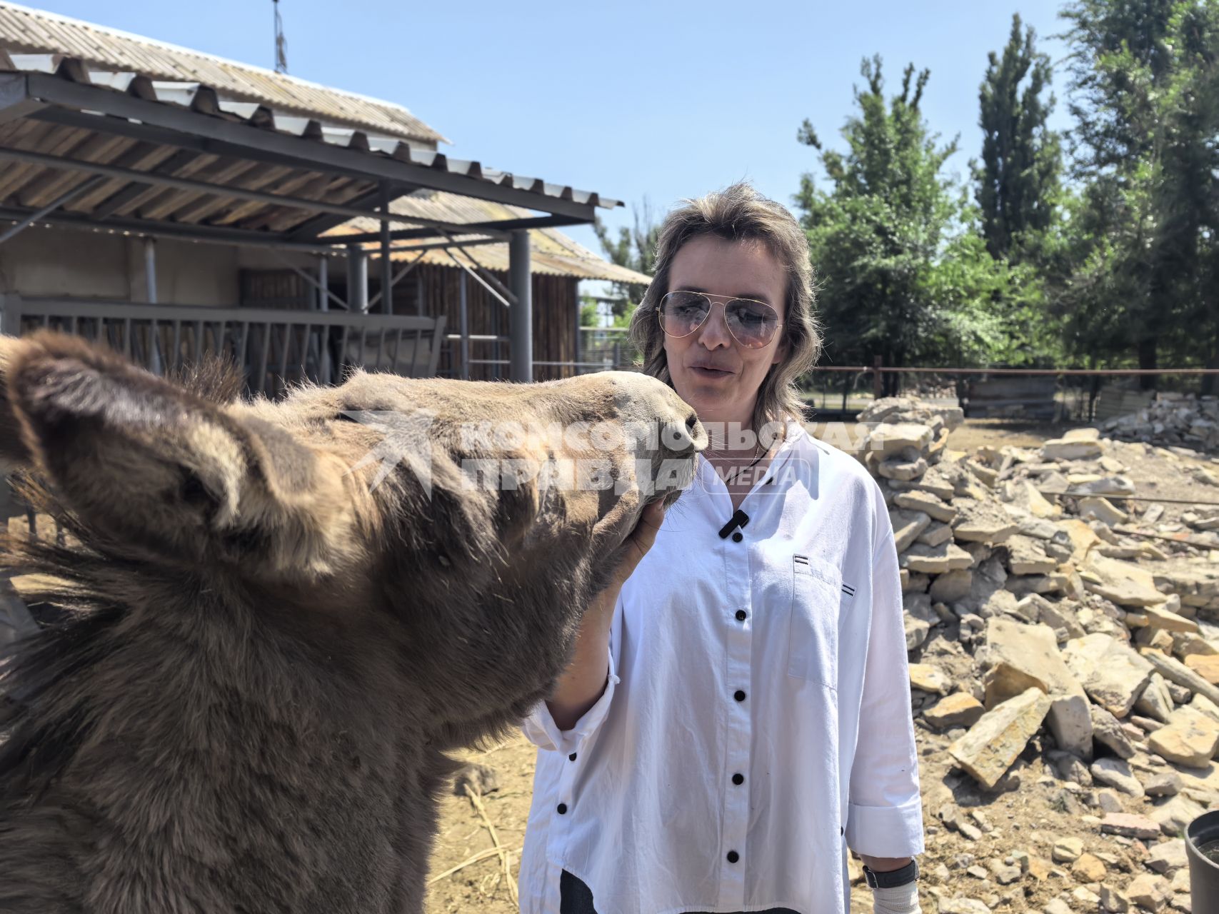 Елена Оренчук