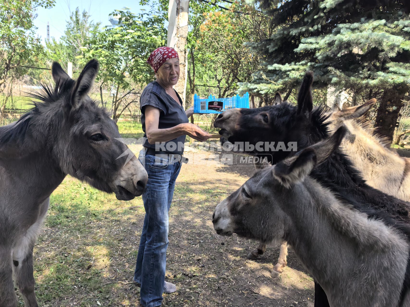 Зоопарк в Горловке
