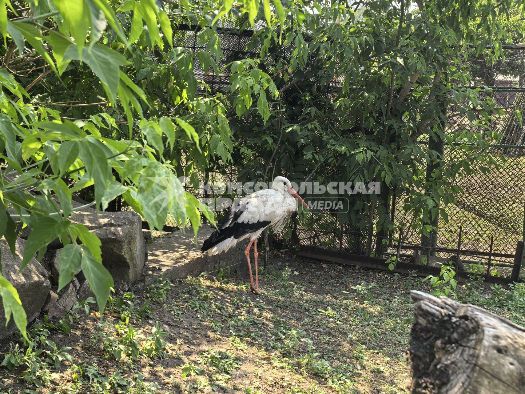 Зоопарк в Горловке