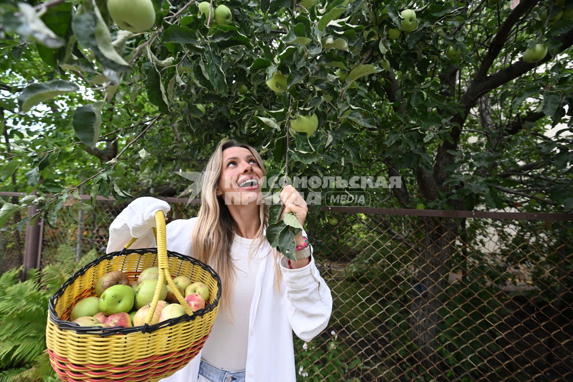 Дача