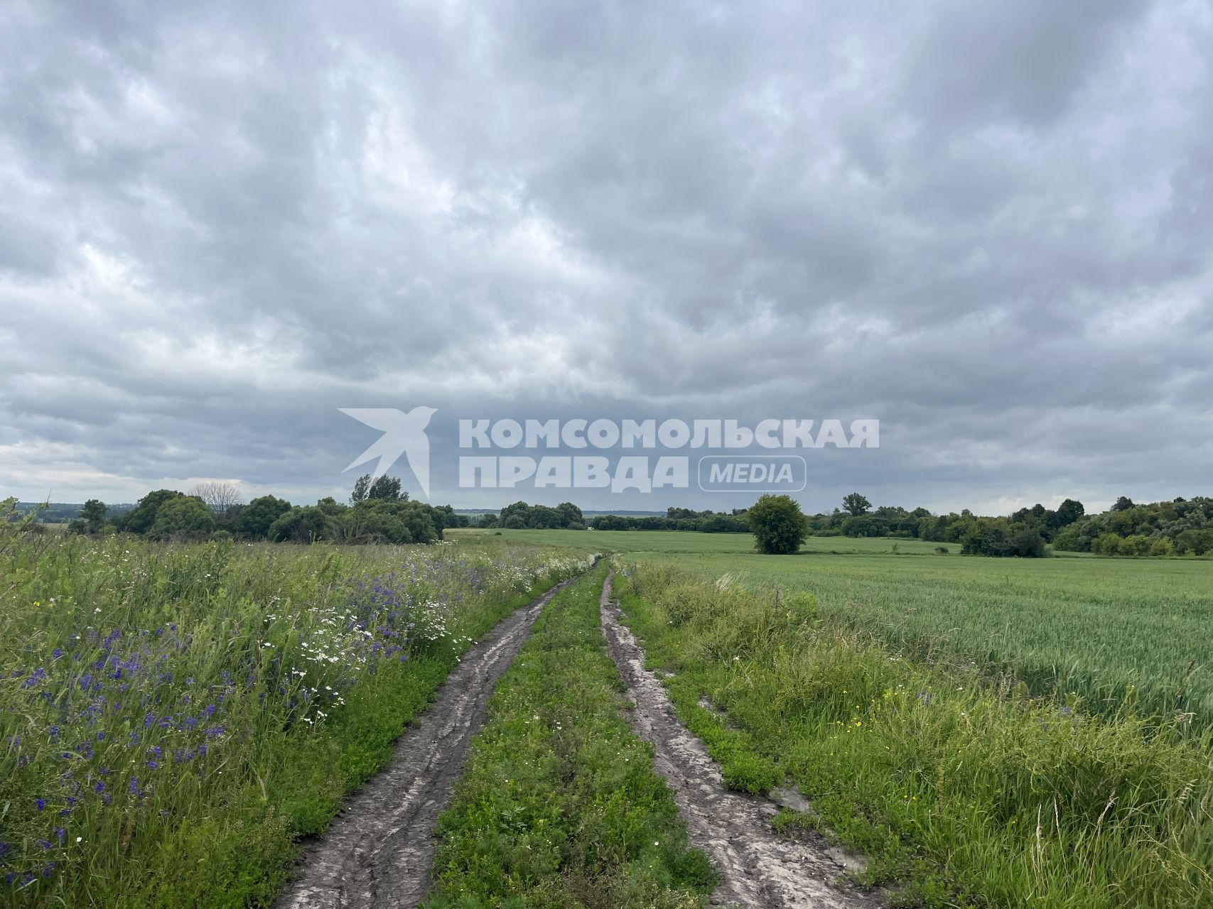 Село Ловчиково Орловской области