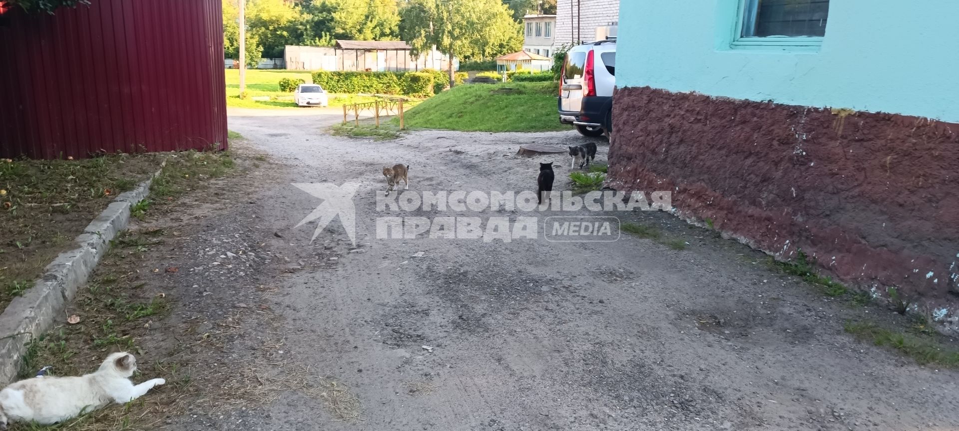 Александров