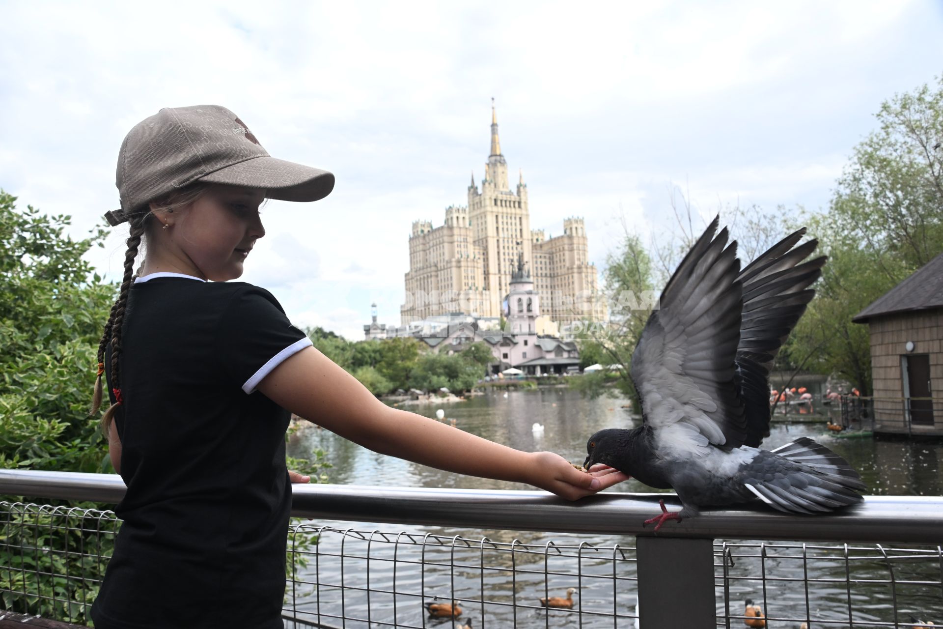 Московский зоопарк летом