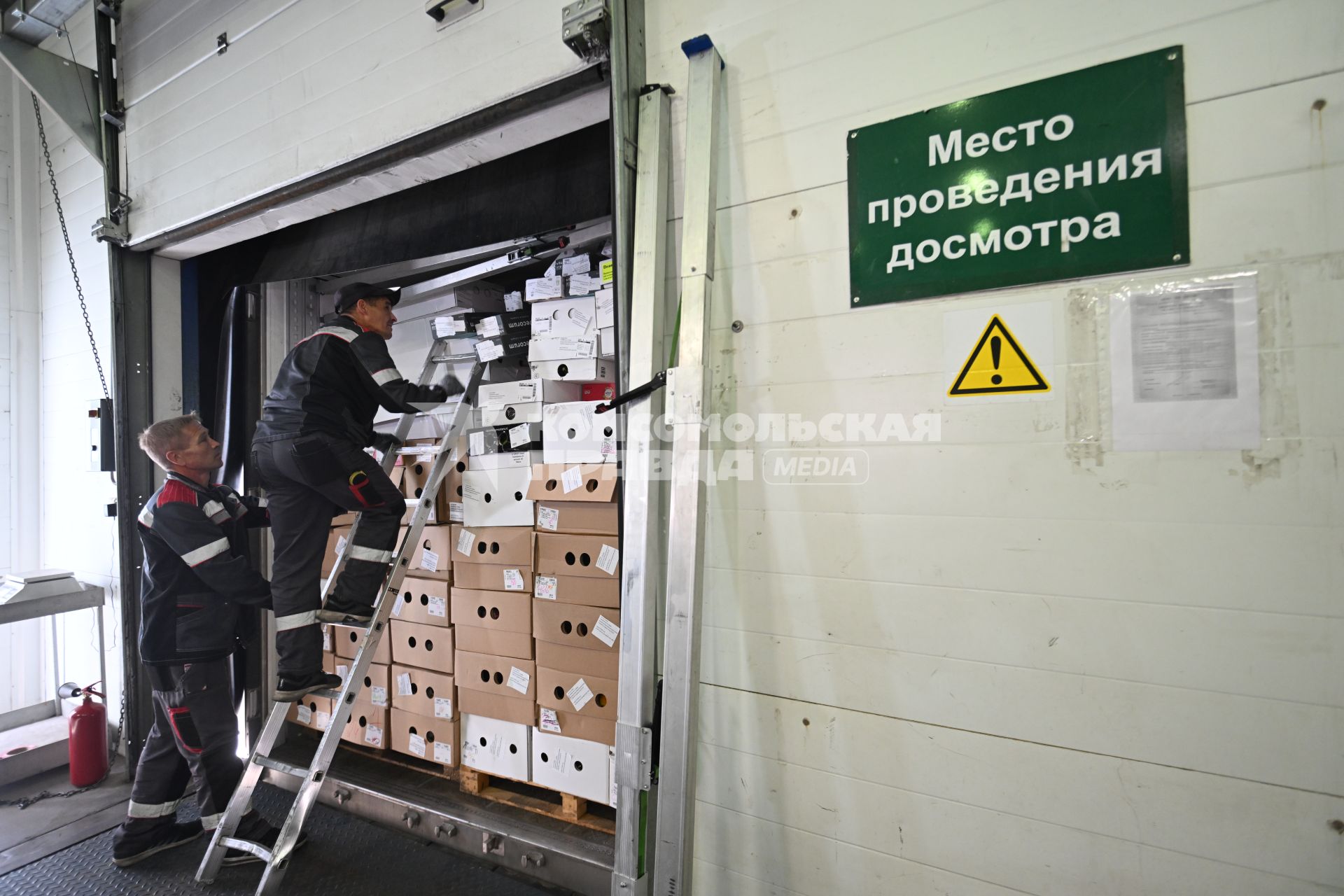 Досмотр цветочной продукции в зоне таможенного контроля в Химках