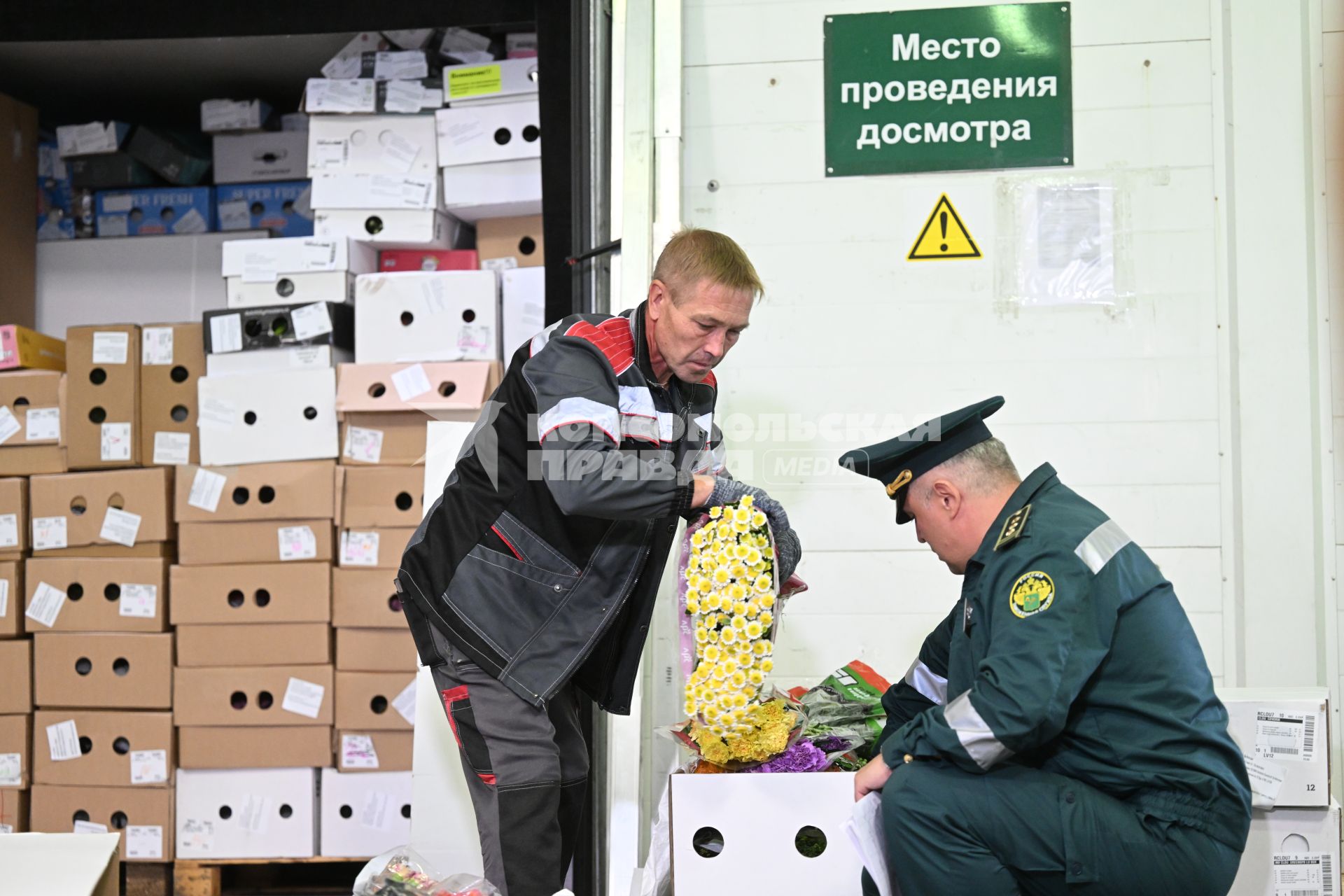 Досмотр цветочной продукции в зоне таможенного контроля в Химках
