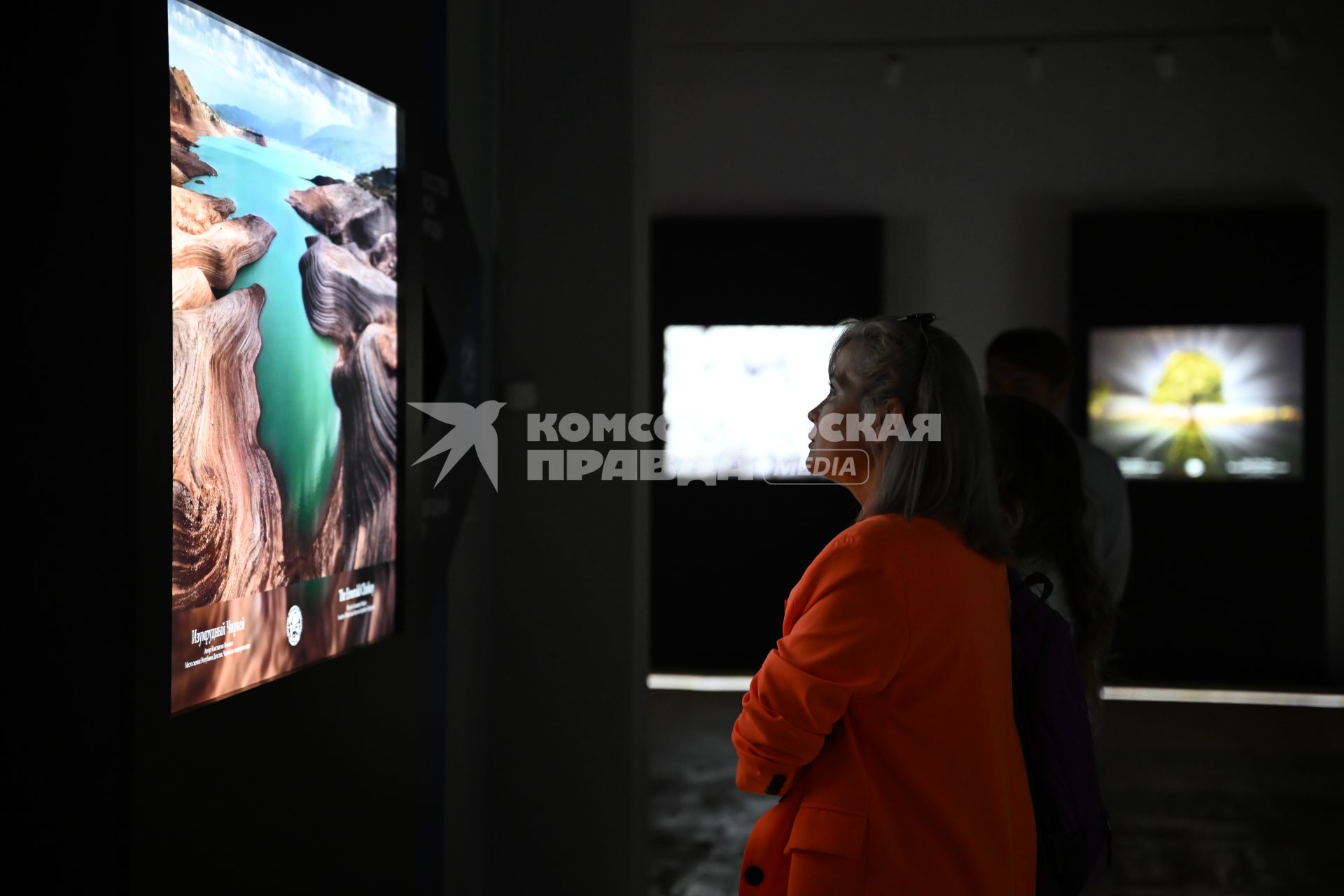 XI Международная фотовыставка Самая красивая страна\" в Новой Третьяковке