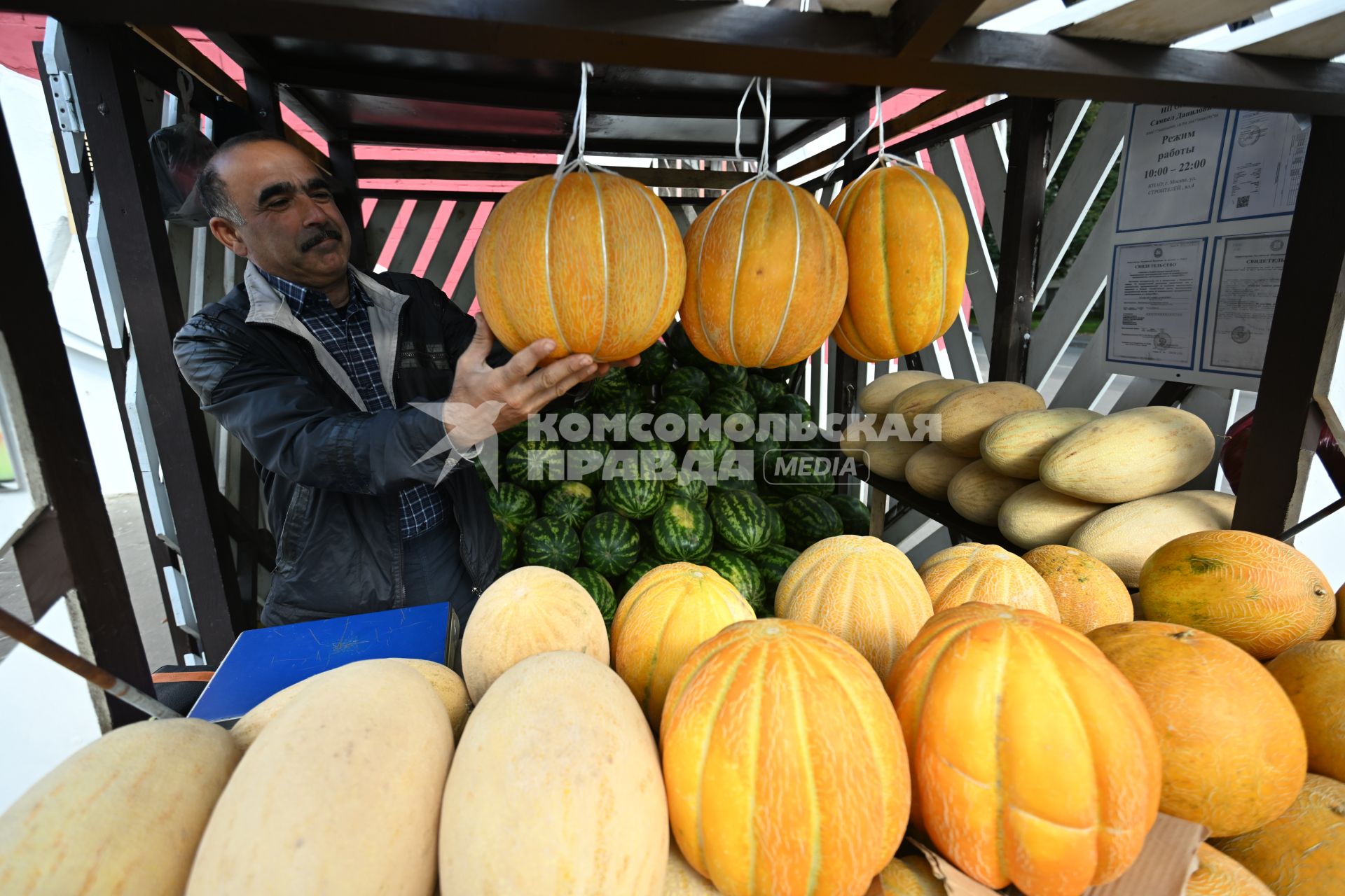 Продажа дынь и арбузов
