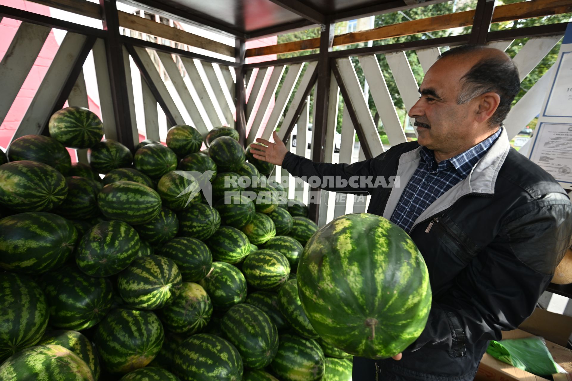 Продажа дынь и арбузов