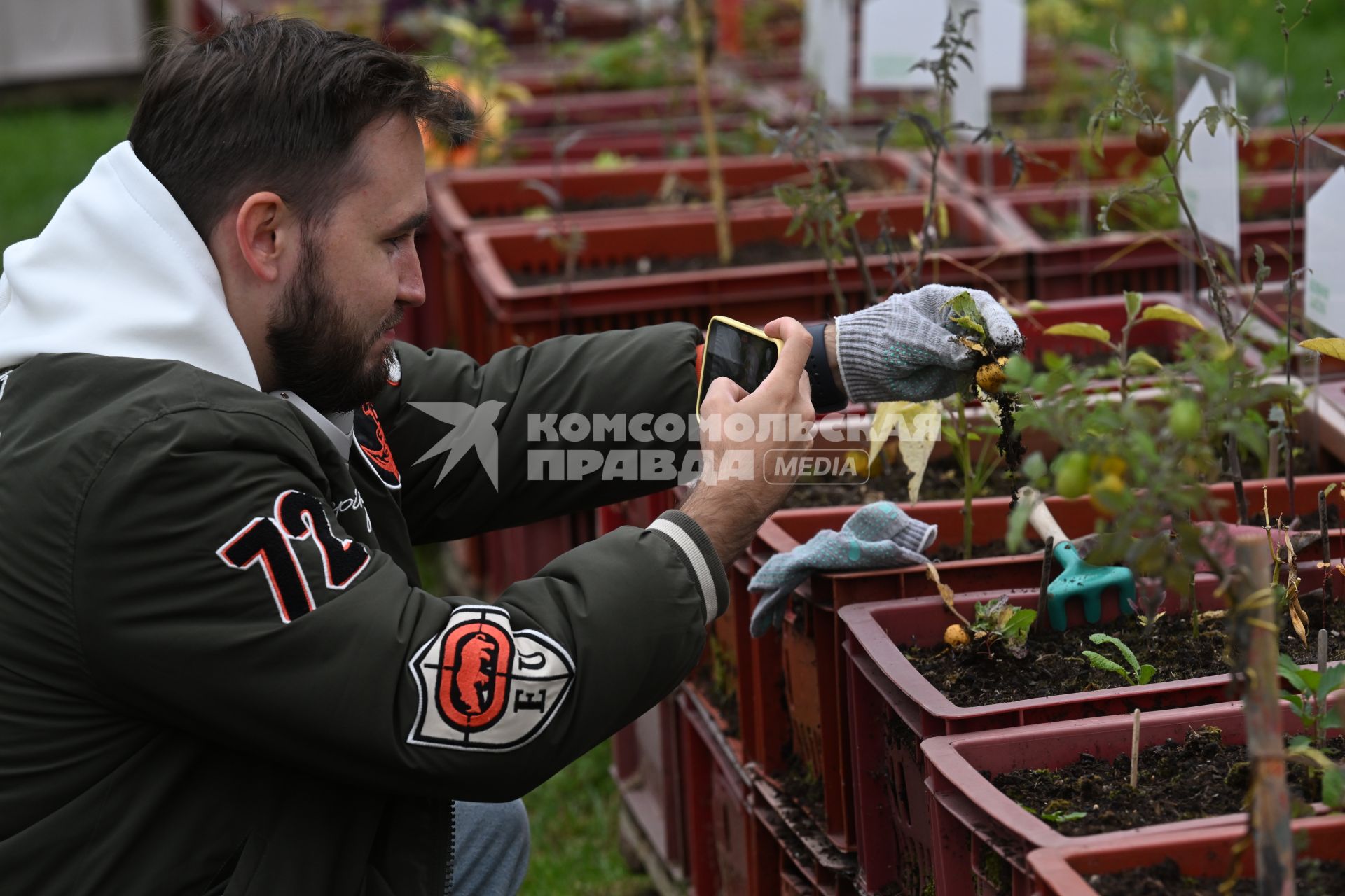 Сбор урожая в Общественном огороде\" в Парке Горького