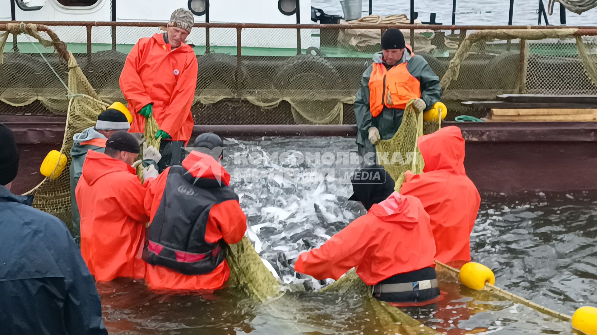 Добыча красной рыбы и икры на Камчатке