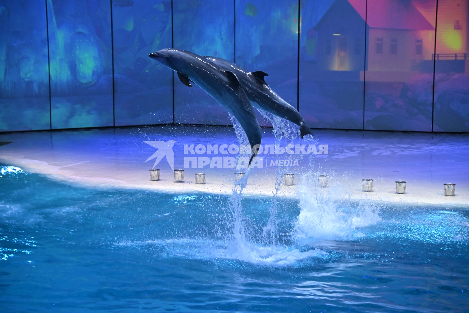 Премьерный показ шоу \"Море снов\" в Москве