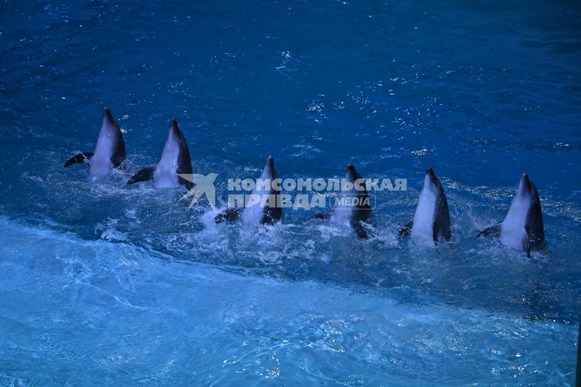 Премьерный показ шоу \"Море снов\" в Москве