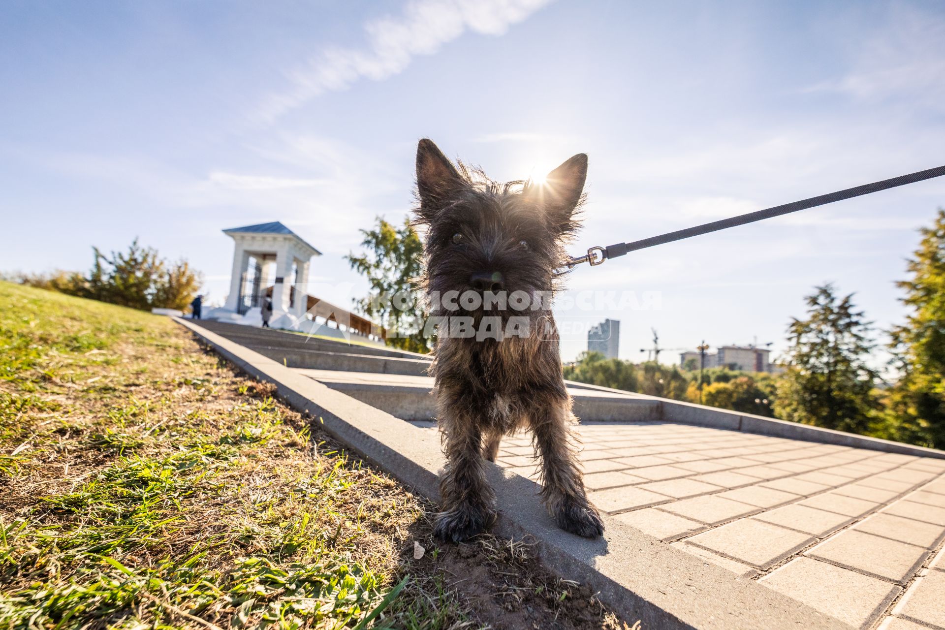 Осень в парках Москвы