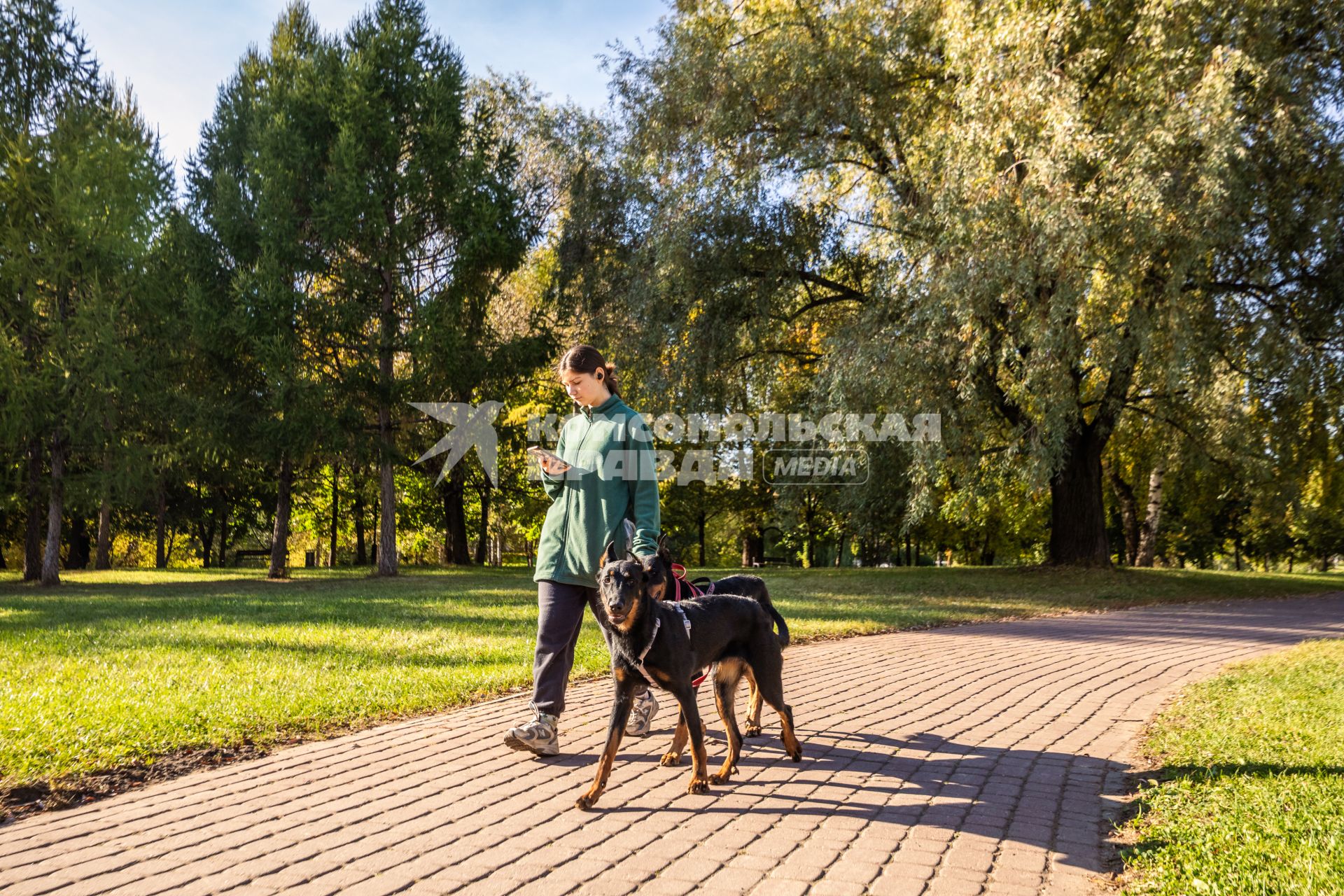 Осень в парках Москвы