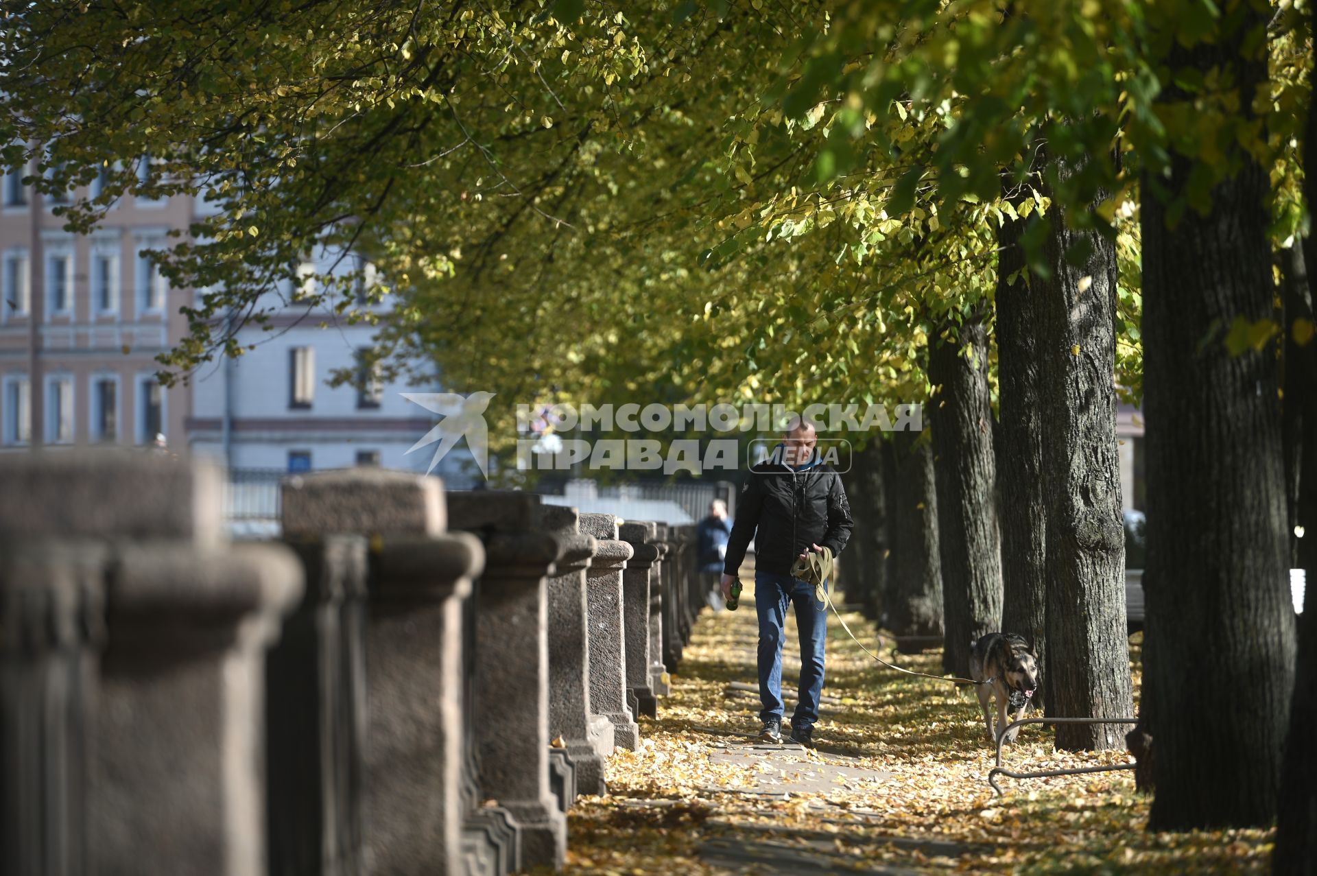 Повседневная жизнь в Петербурге