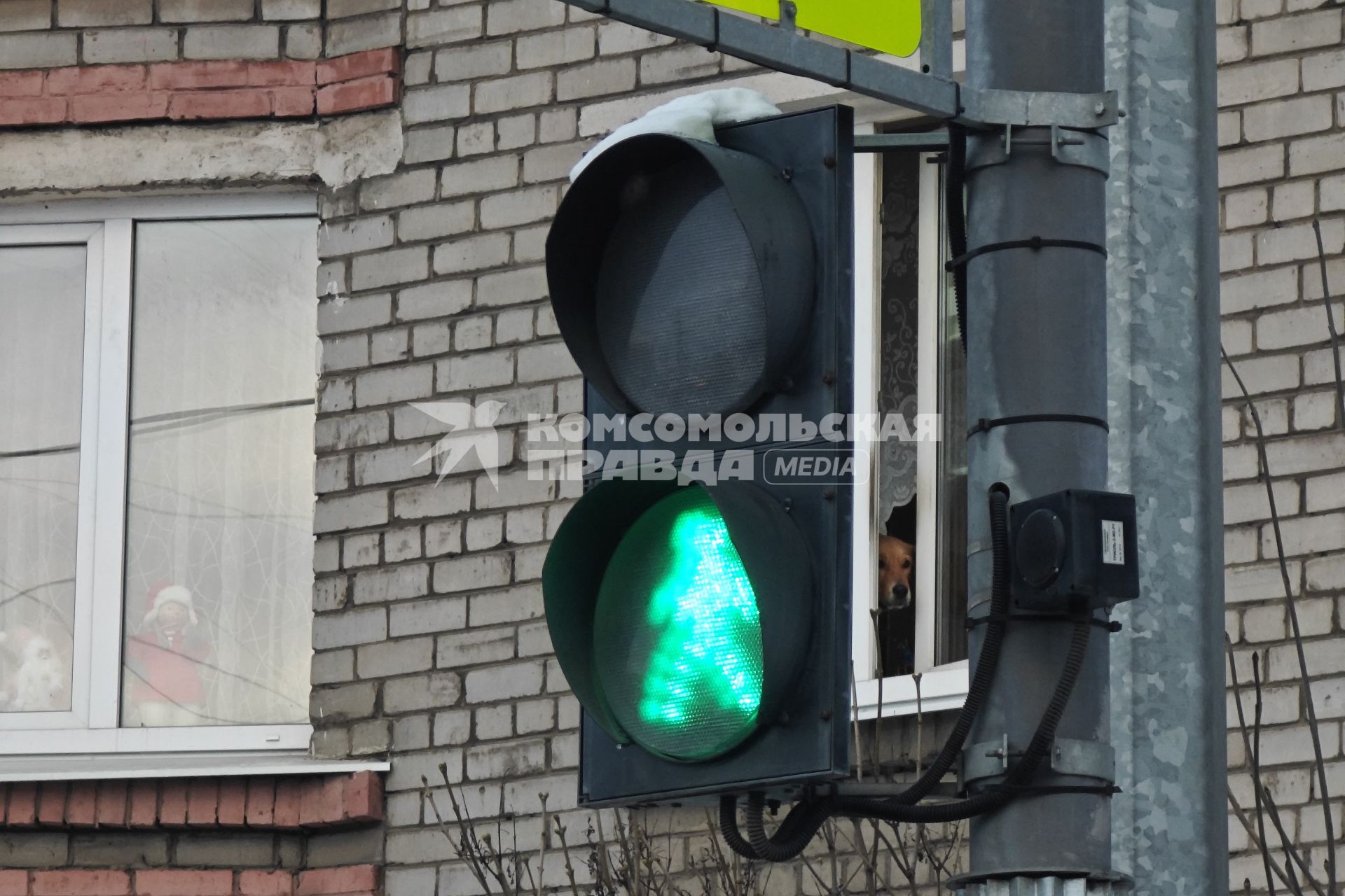 Повседневная жизнь в Петербурге