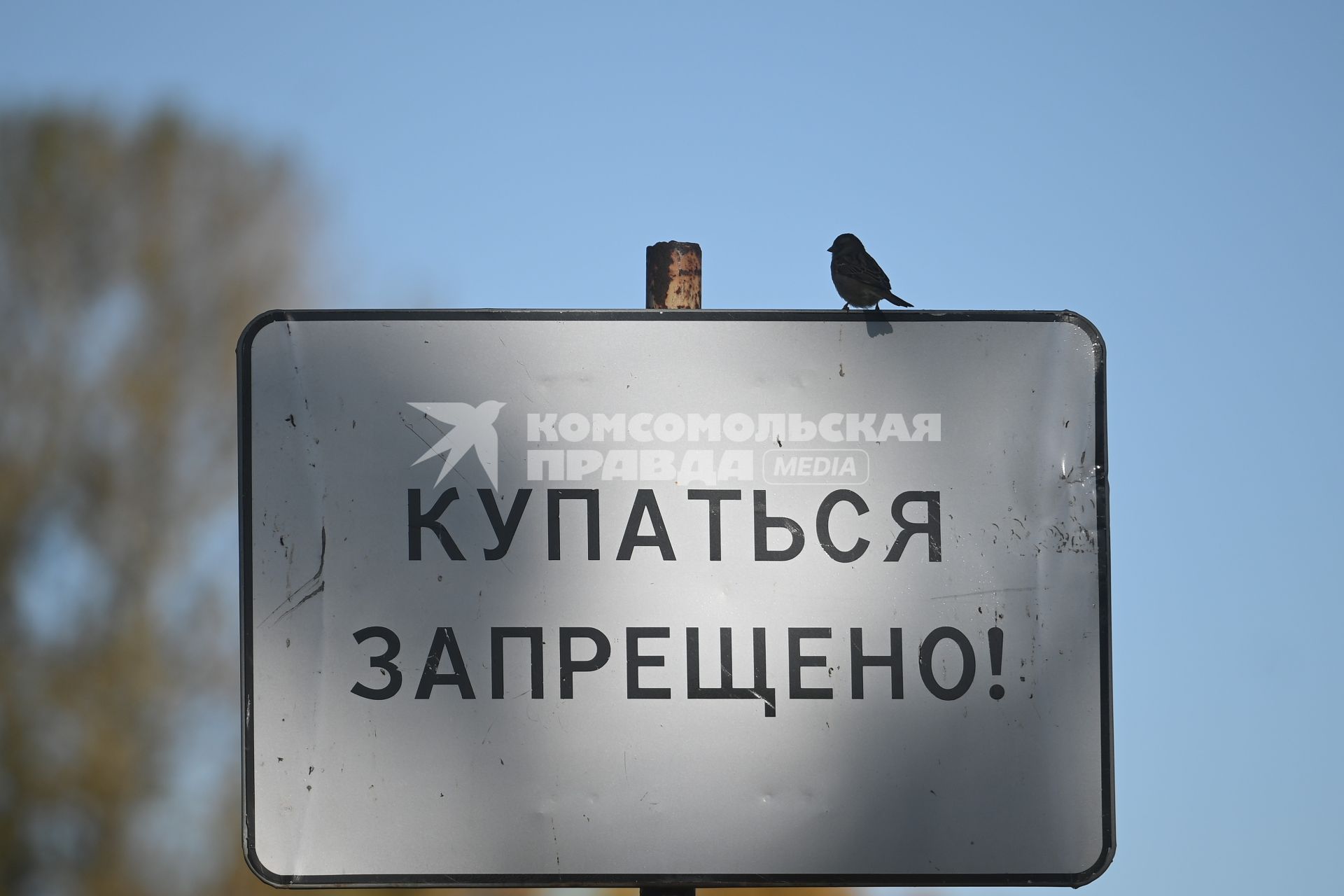 Золотая осень в Петербурге
