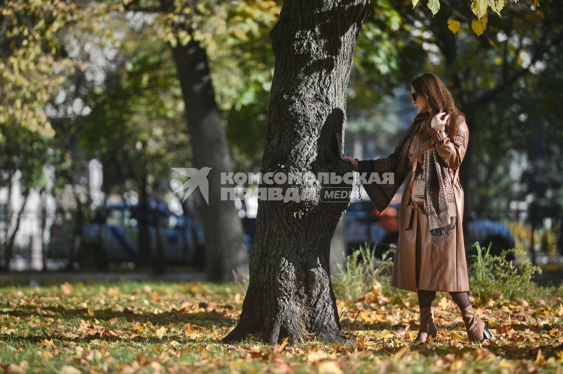 Золотая осень в Петербурге