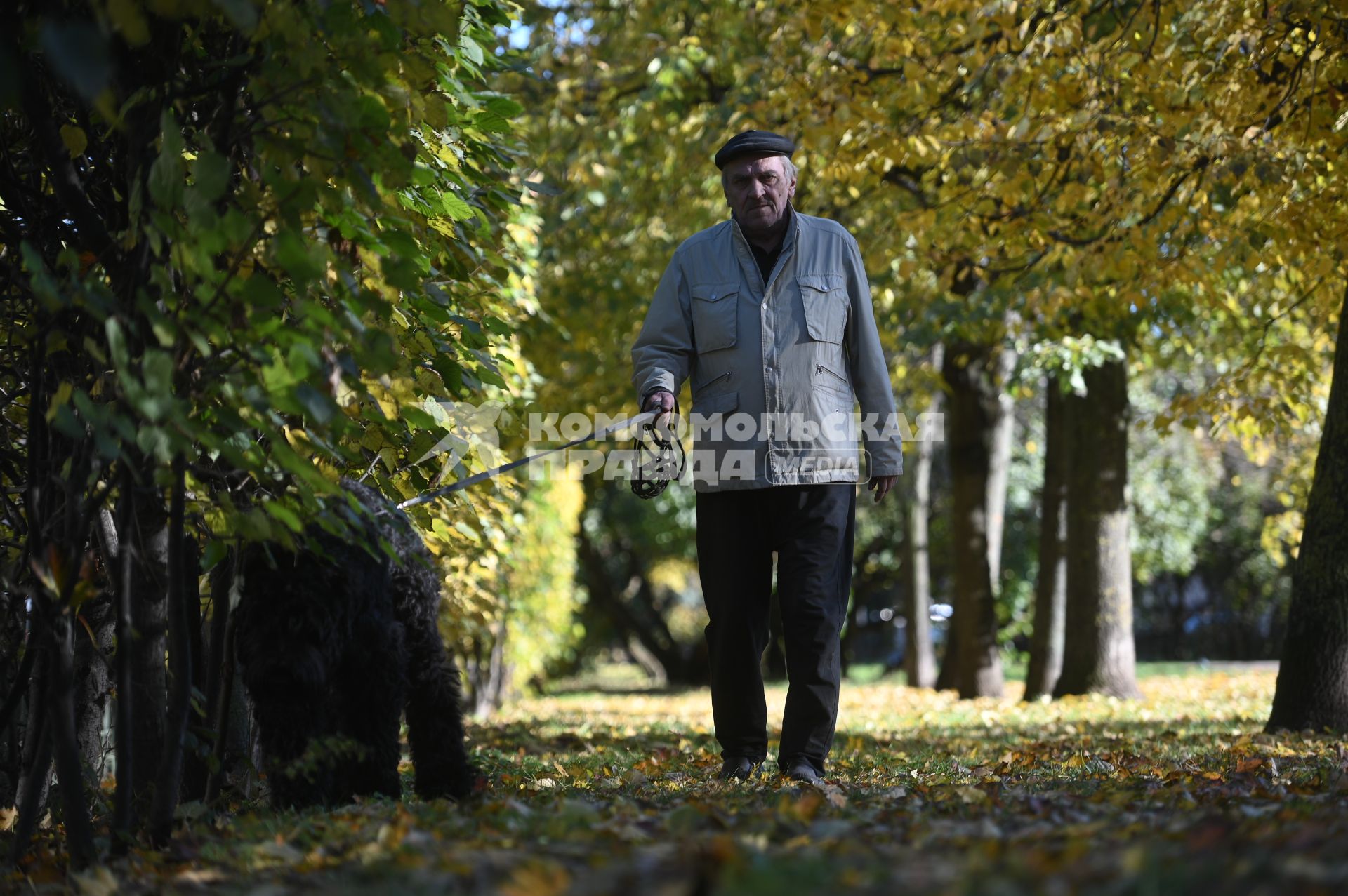 Золотая осень в Петербурге