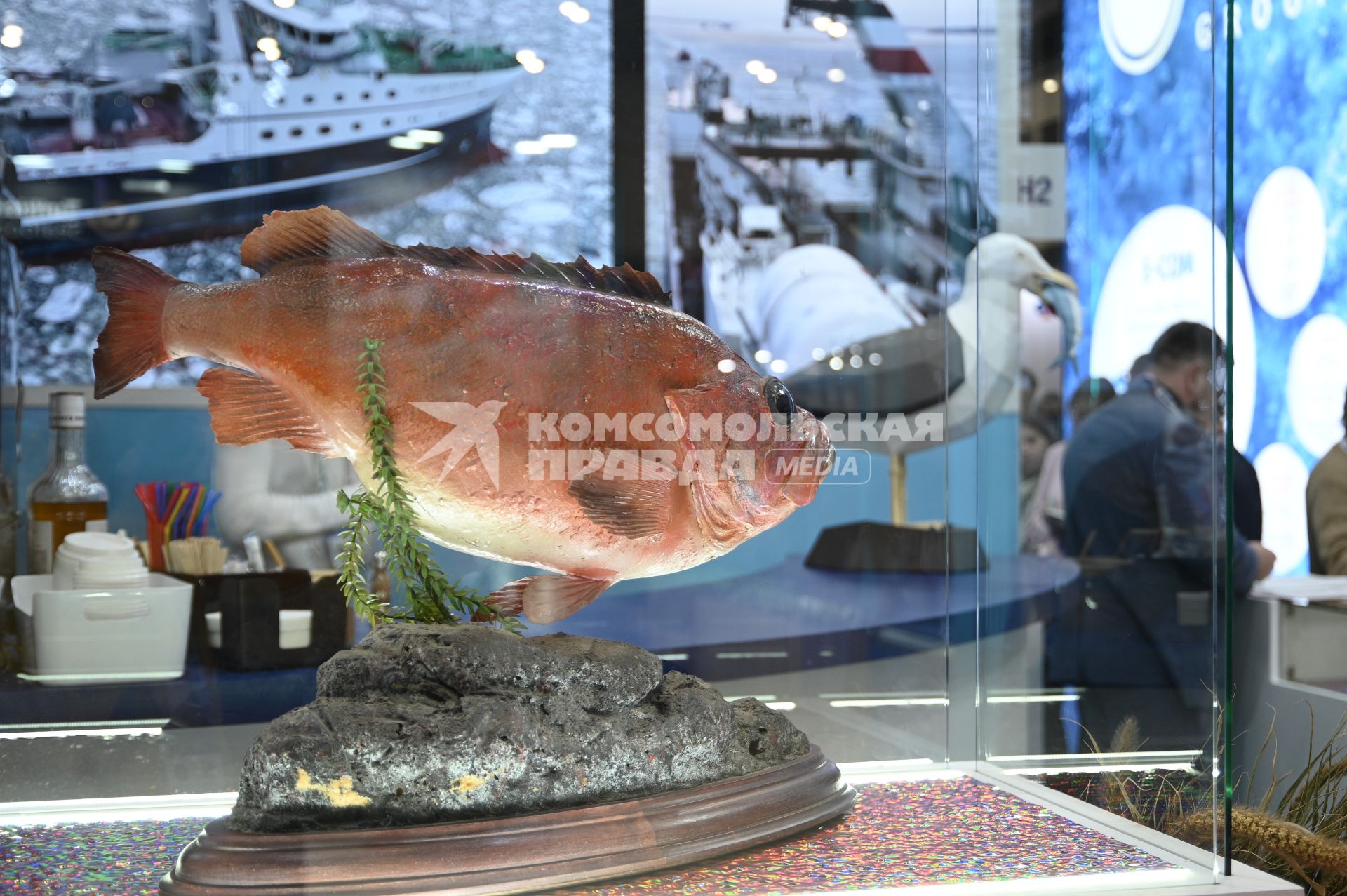 Международный рыбопромышленный форум и выставка Seefood Expo Russia в Санкт-Петербурге