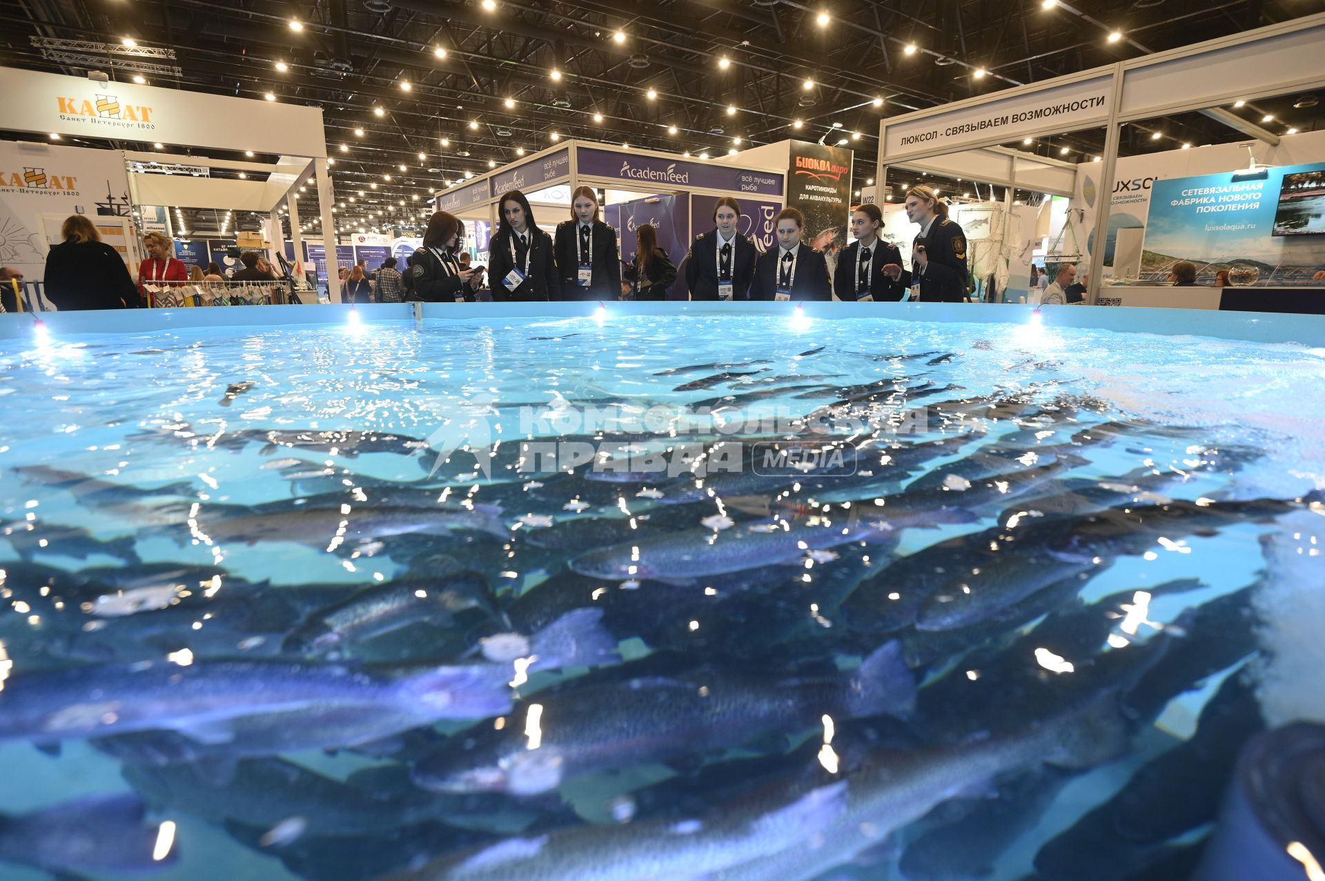 Международный рыбопромышленный форум и выставка Seefood Expo Russia в Санкт-Петербурге