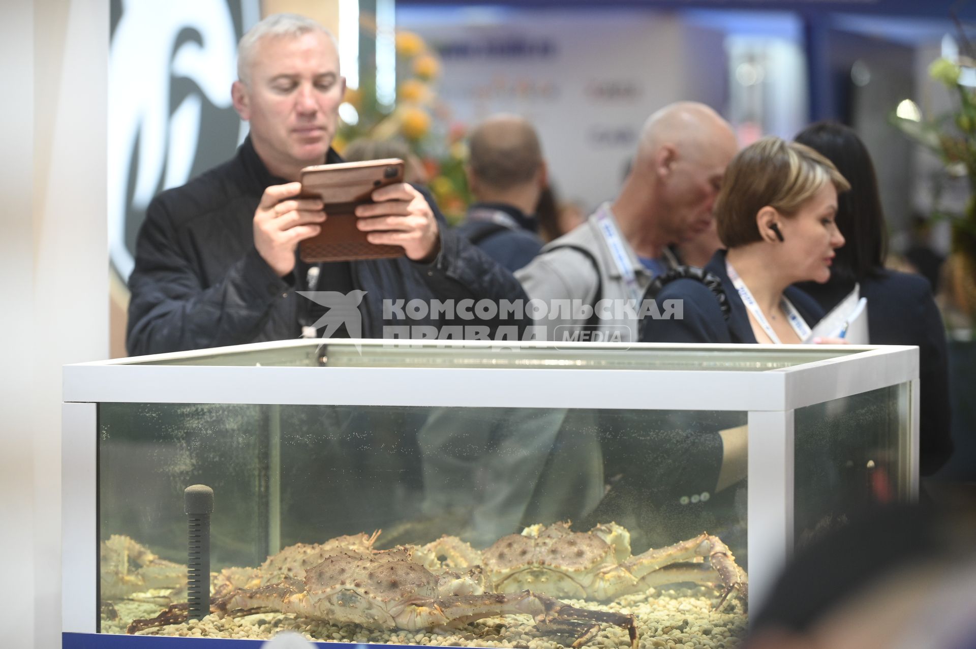 Международный рыбопромышленный форум и выставка Seefood Expo Russia в Санкт-Петербурге