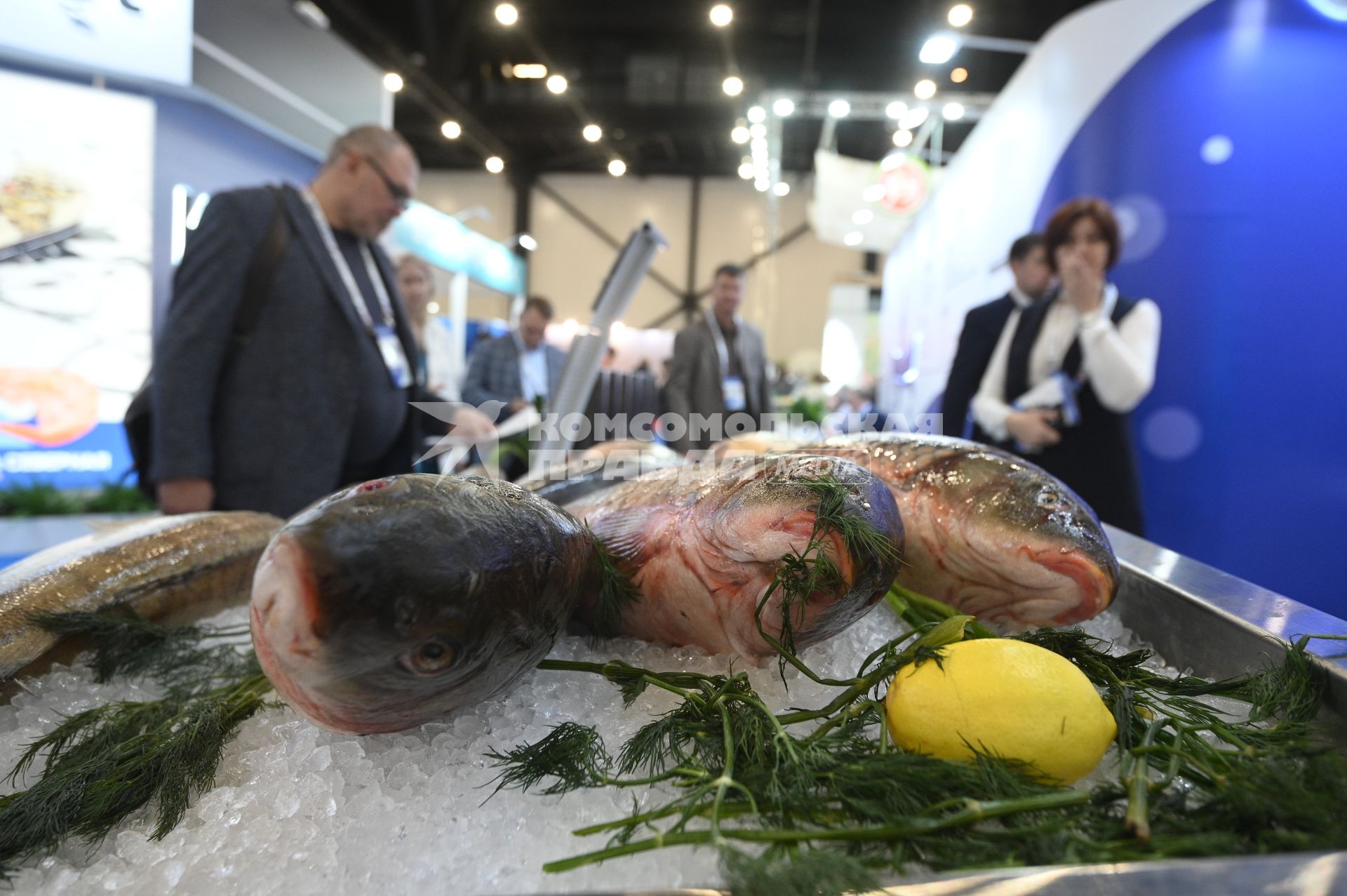 Международный рыбопромышленный форум и выставка Seefood Expo Russia в Санкт-Петербурге