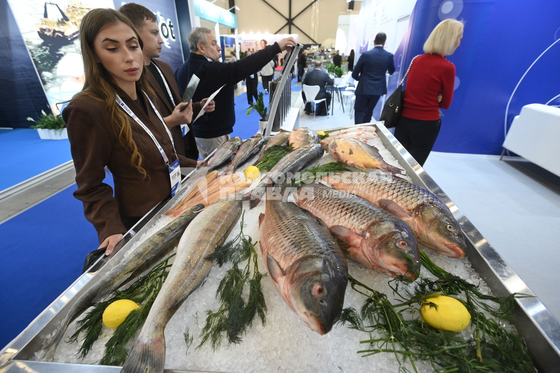Международный рыбопромышленный форум и выставка Seefood Expo Russia в Санкт-Петербурге
