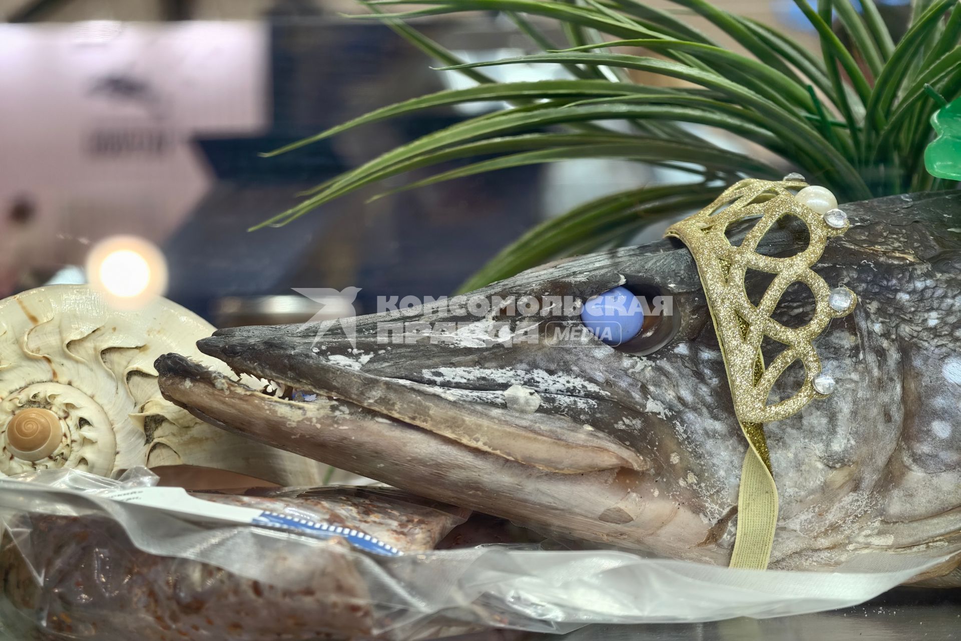 Международный рыбопромышленный форум и выставка Seefood Expo Russia в Санкт-Петербурге