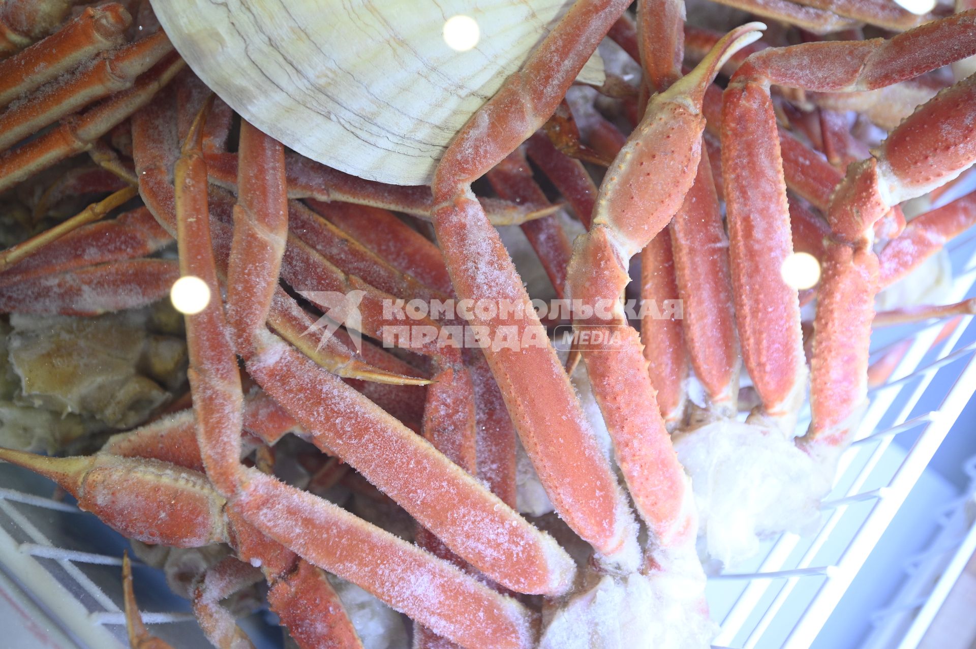 Международный рыбопромышленный форум и выставка Seefood Expo Russia в Санкт-Петербурге
