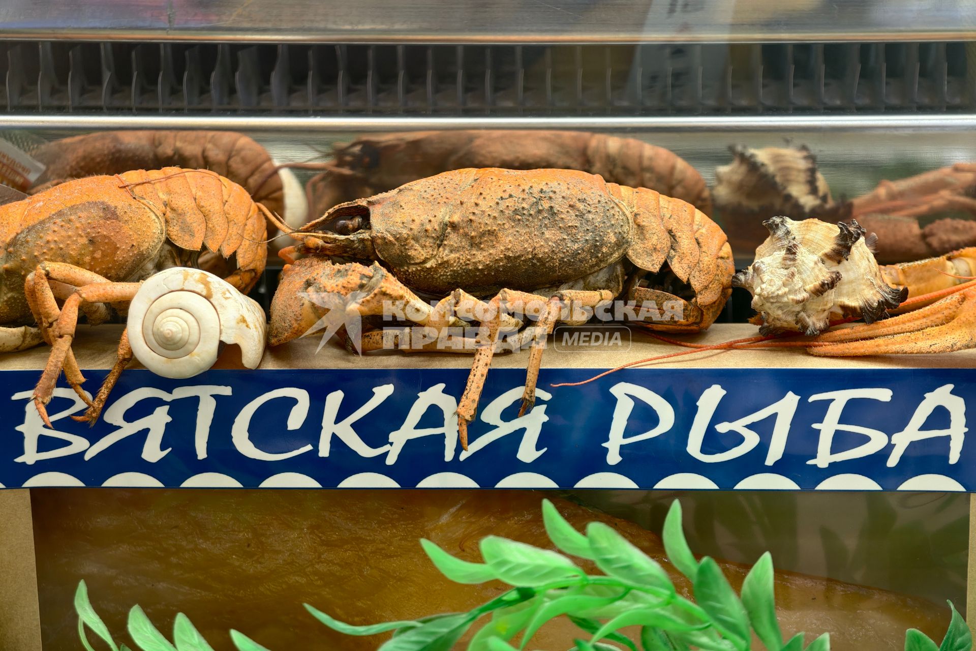 Международный рыбопромышленный форум и выставка Seefood Expo Russia в Санкт-Петербурге