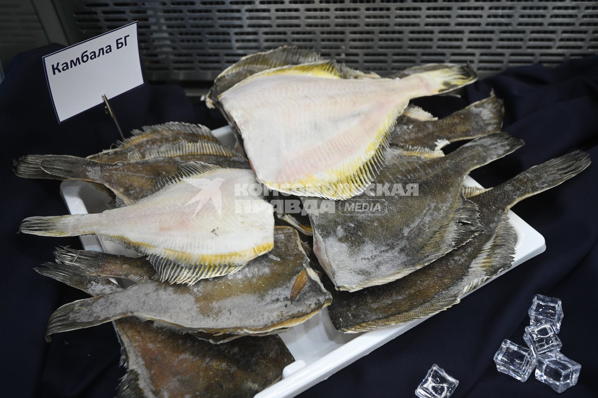 Международный рыбопромышленный форум и выставка Seefood Expo Russia в Санкт-Петербурге
